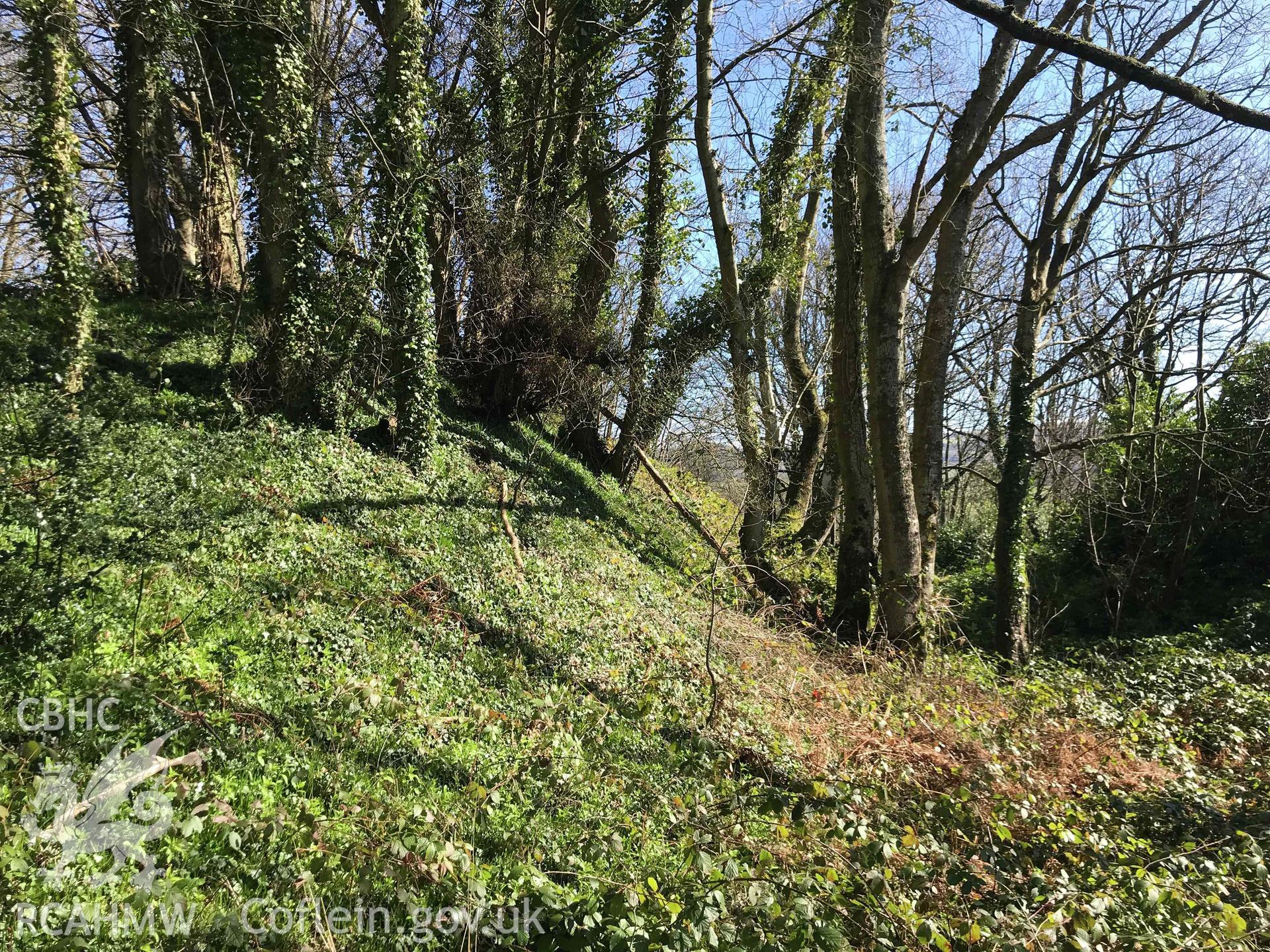 Digital photograph of ditch at Clyro Castle, produced by Paul Davis in 2020