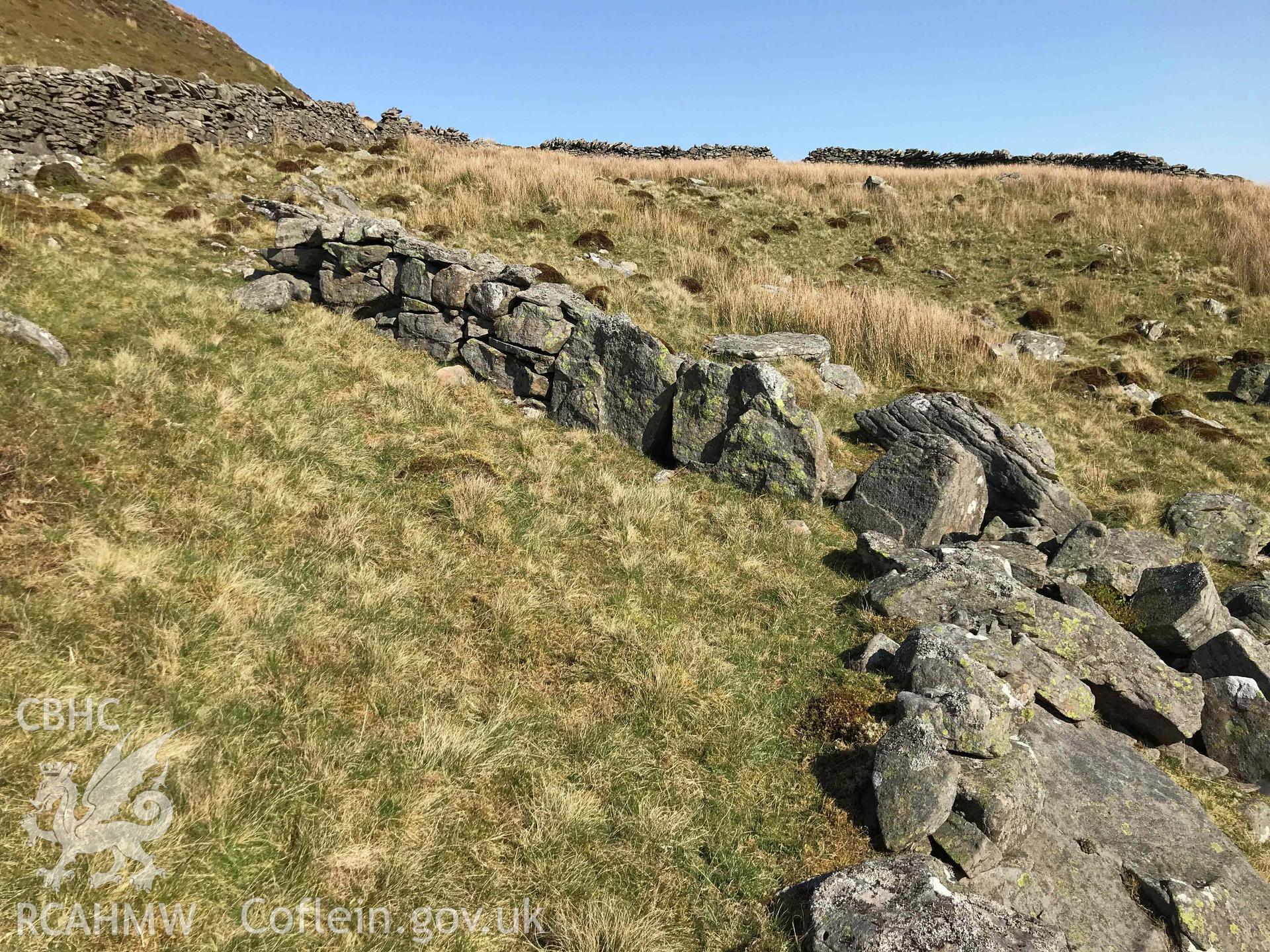 Digital photograph showing detailed view of wall at Craig yr Ysgol enclosure, produced by Paul Davis in 2020