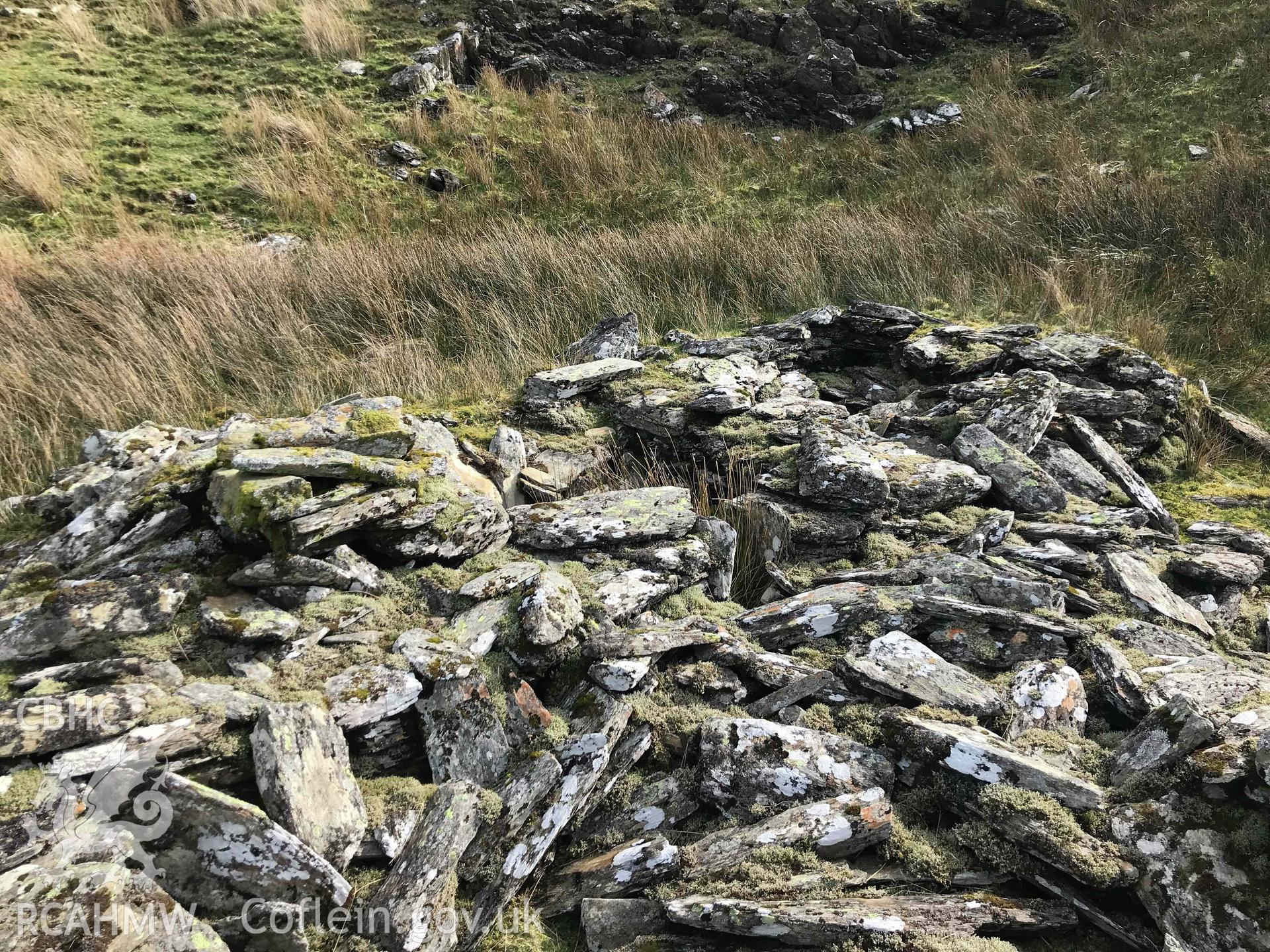 Digital photograph showing detailed view of wall at Gallt y Mawn hafod, produced by Paul Davis in 2020