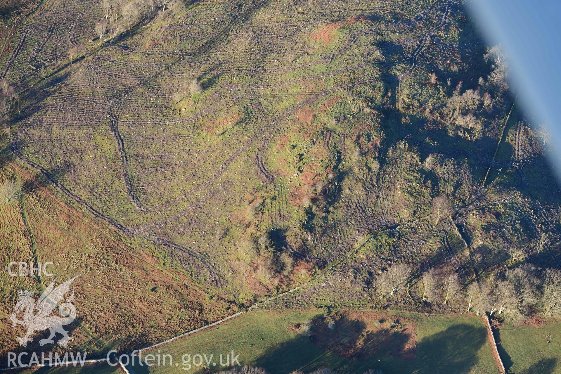 Oblique aerial photograph showing land to the immediate north of Cymmer Castle mound. Taken during the Royal Commission’s programme of archaeological aerial reconnaissance by Toby Driver on 17th January 2022