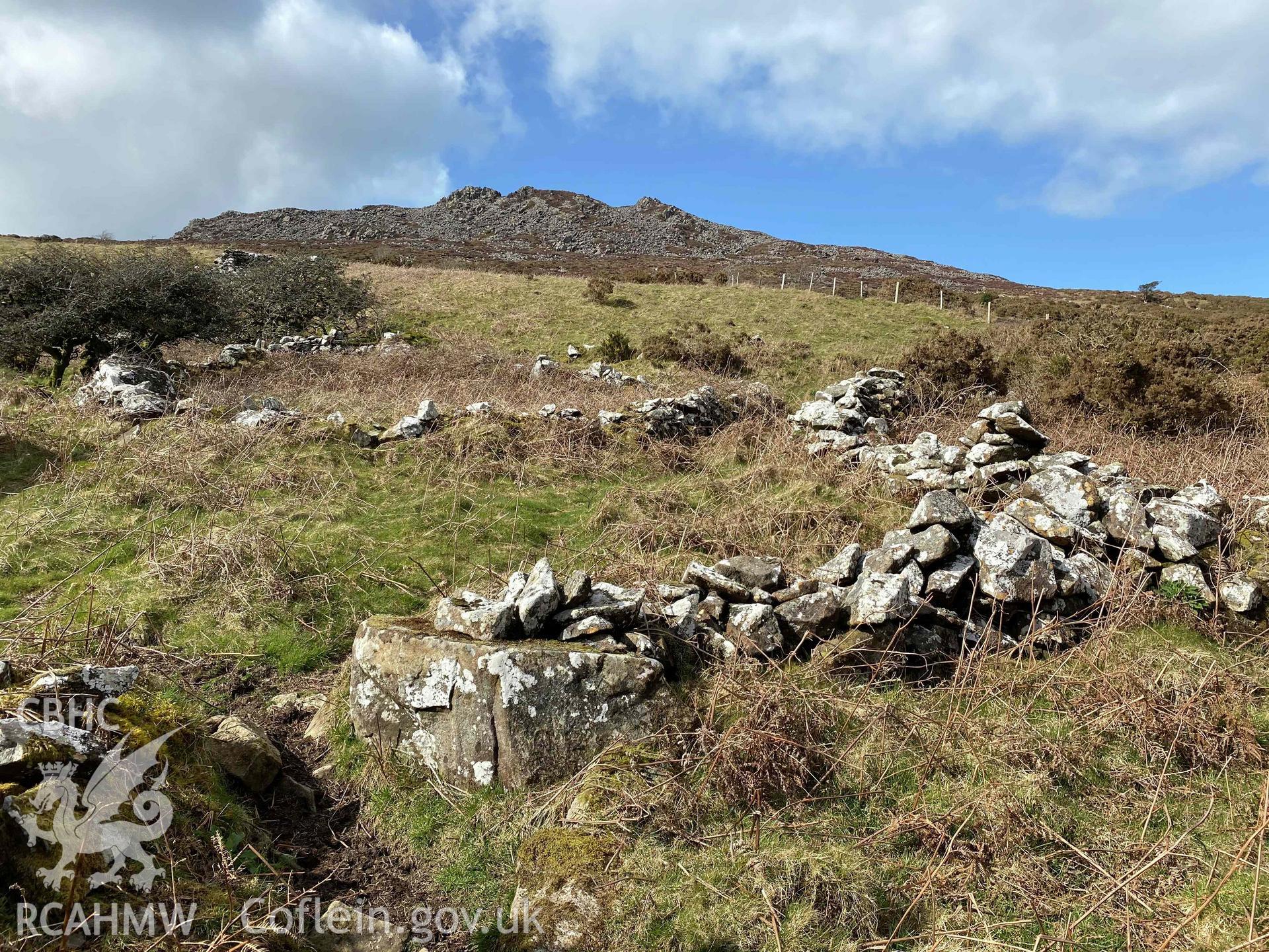 Digital photograph looking west at Carn Ingli deserted farmstead, Preseli, produced by Paul Davis in 2023