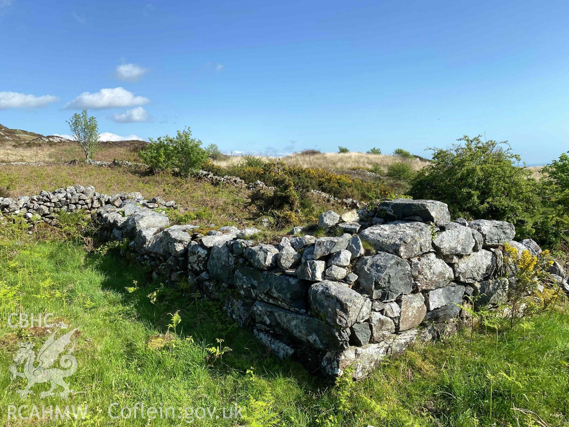 Digital photograph of cottage at Brandy Bach farmstead, Garndolbenmaen, produced by Paul Davis in 2023