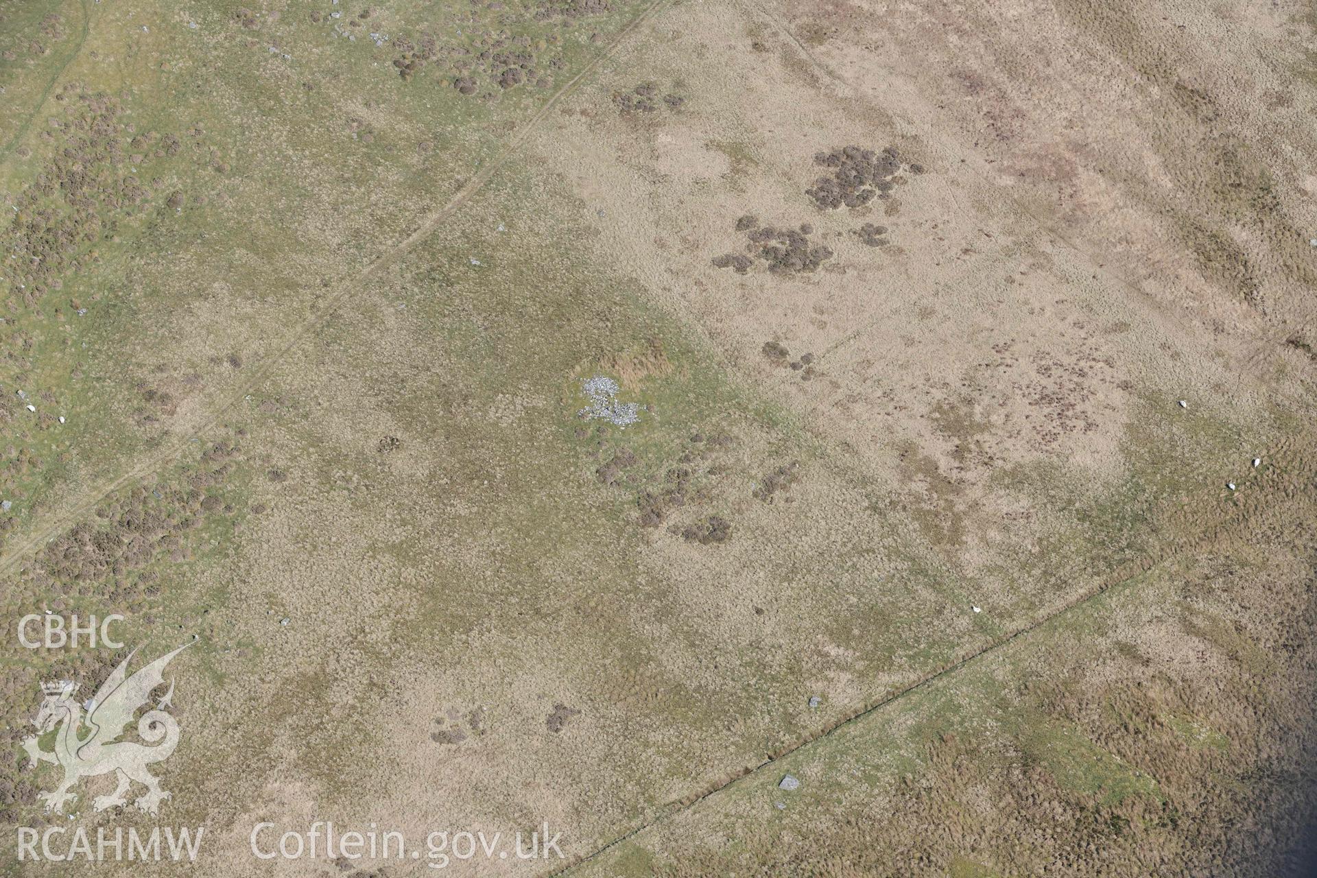 Hut Circle and Enclosure West of Llyn Eiddew Bach. Oblique aerial photographs taken during the Royal Commission’s programme of archaeological aerial reconnaissance by Toby Driver on 25 March 2022.