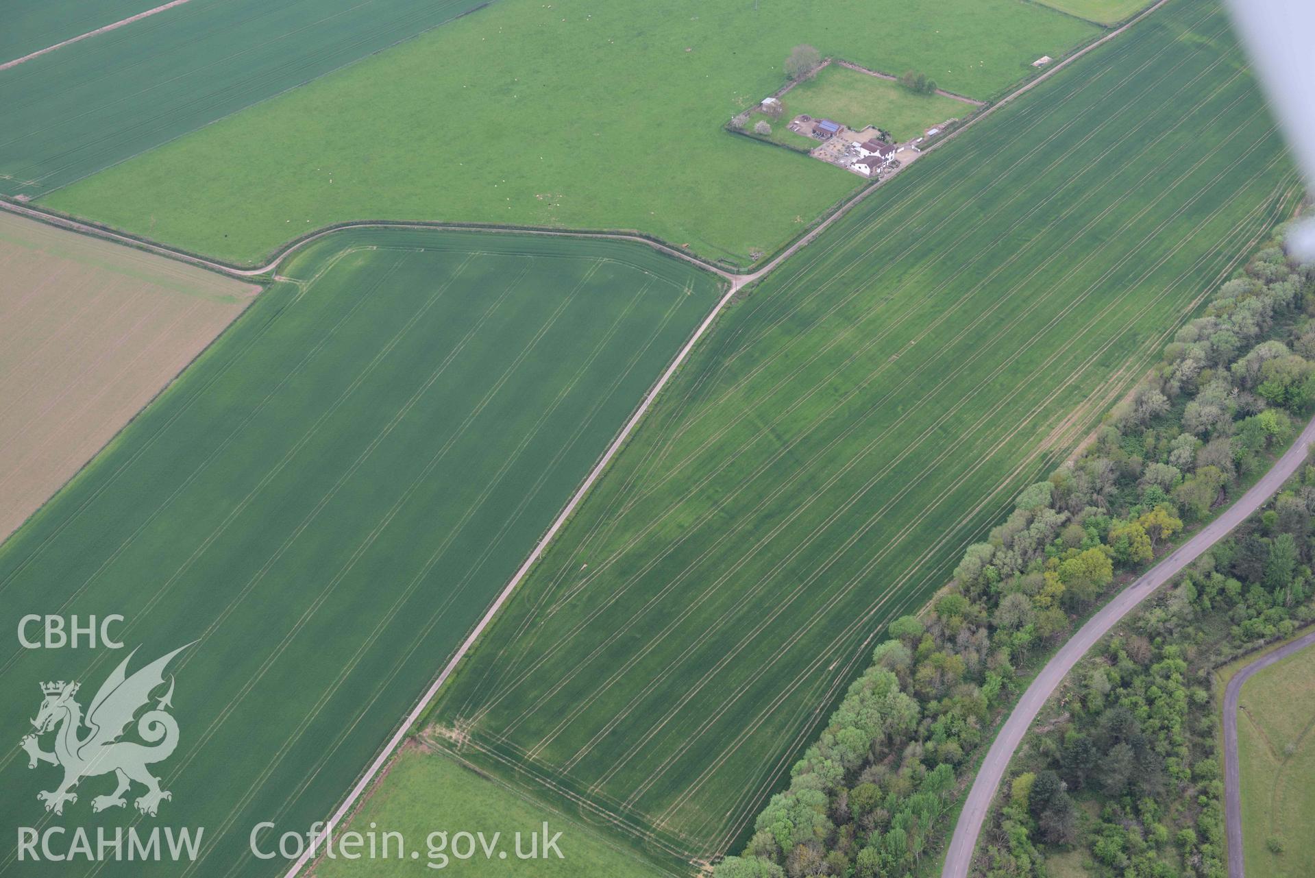 Trewent enclosed settlement, cropmarks emerging. Oblique aerial photograph taken during the Royal Commission's programme of archaeological aerial reconnaissance by Toby Driver on 29 April 2022.