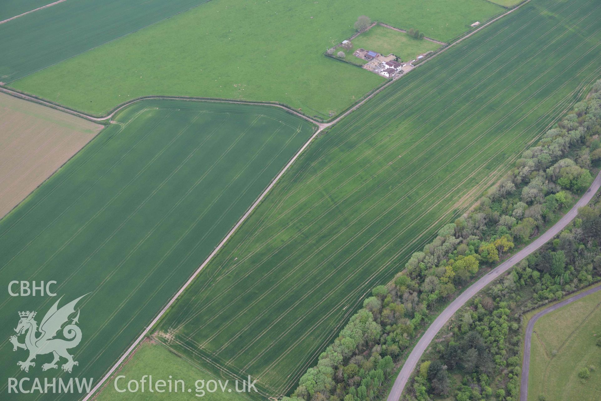 Trewent enclosed settlement, cropmarks emerging. Oblique aerial photograph taken during the Royal Commission's programme of archaeological aerial reconnaissance by Toby Driver on 29 April 2022.