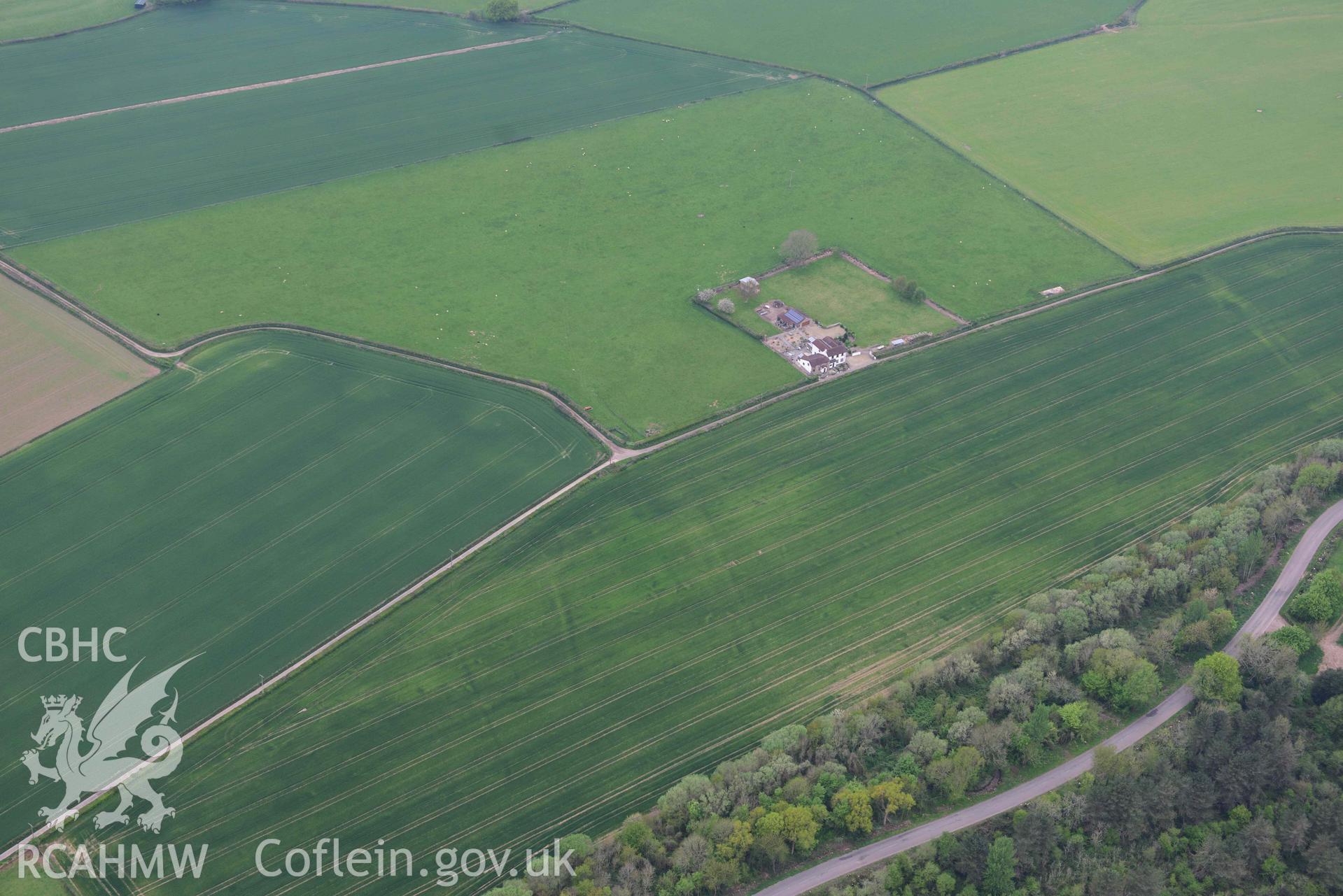 Trewent enclosed settlement, cropmarks emerging. Oblique aerial photograph taken during the Royal Commission's programme of archaeological aerial reconnaissance by Toby Driver on 29 April 2022.