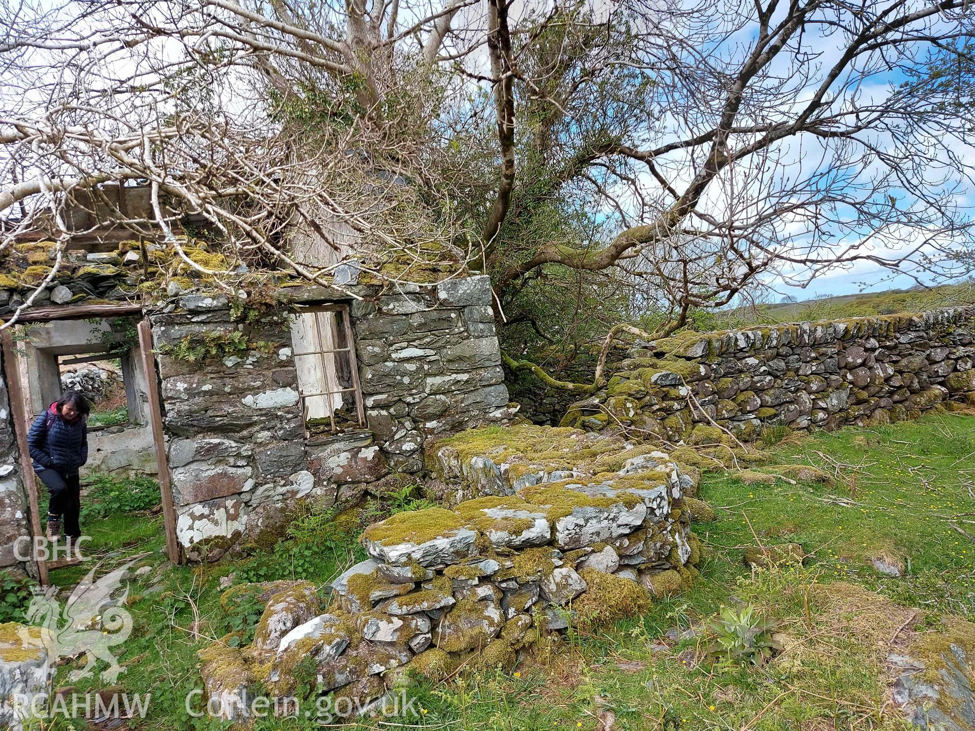 Photograph showing Capel Ty'n Drain, Llanenddwyn, one of the farmstead ruins in the Ardudwy area surveyed by volunteers between November 2020 and November 2023, as part of Prosiect Treftadaeth Harlech ac Ardudwy. ‘Murddunnod Coll’ project.