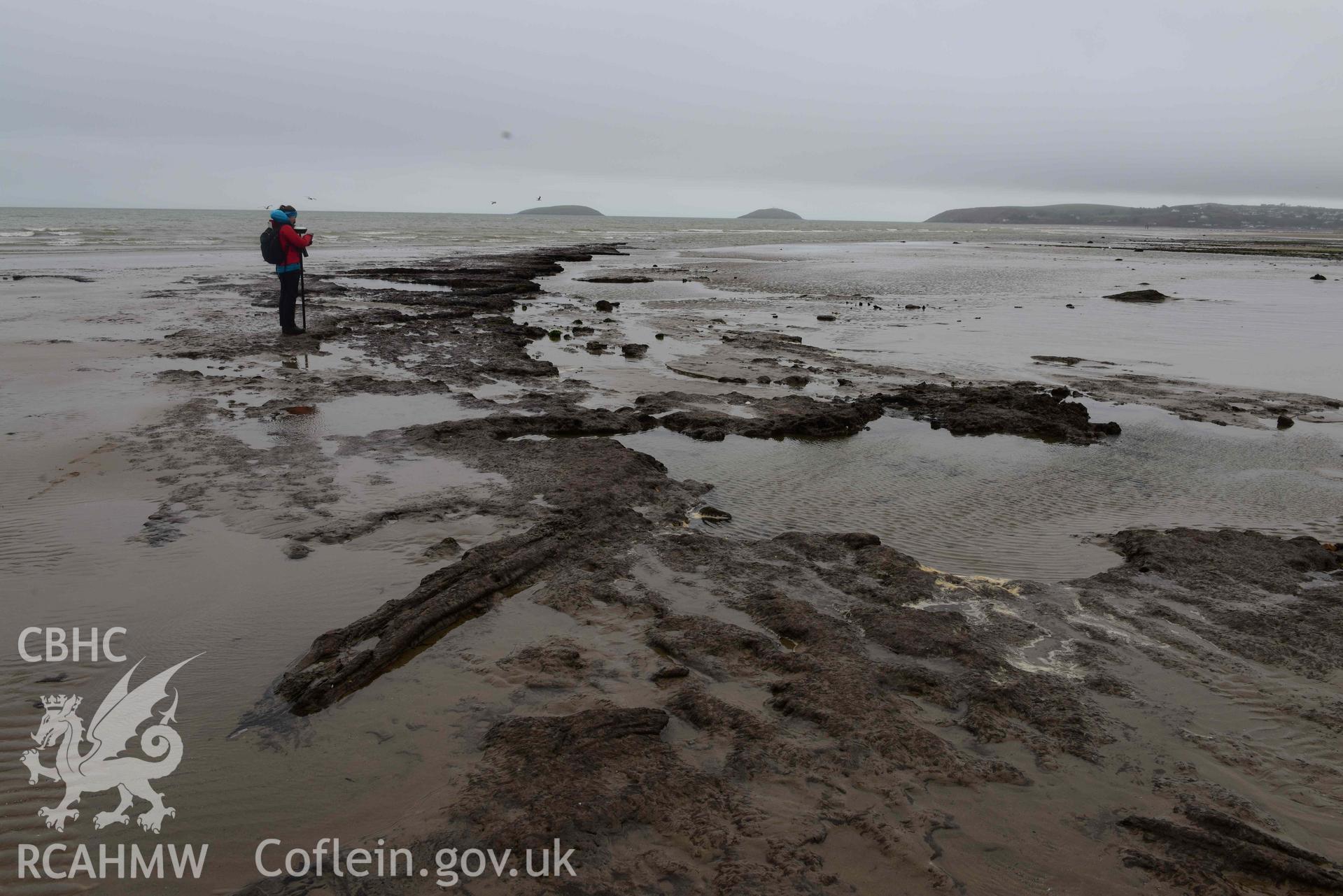 Peat exposure. View looking southeast. Part of survey of the Submerged Forest, Peat Exposures and Footprints on The Warren Beach, Abersoch, conducted by Toby Driver on 29 March 2021. Produced with EU funds through the Ireland Wales Co-operation Programme 2014-2023. All material made freely available through the Open Government Licence.