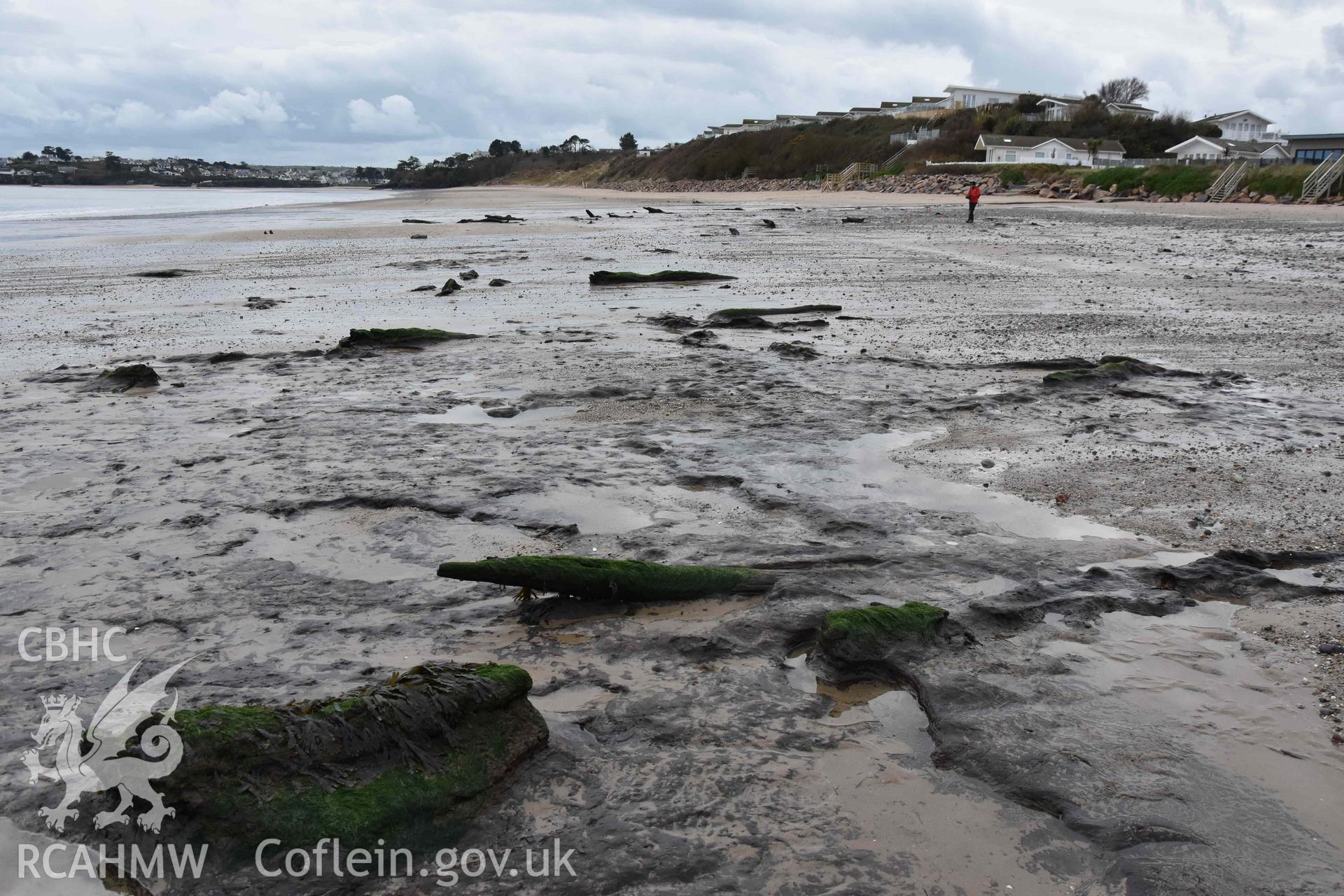 Remains of submerged forest exposed. View looking southwest. Part of a photographic survey of the Submerged Forest, Peat Exposures and Footprints on The Warren Beach, Abersoch, conducted by Louise Barker on 21 January 2019. Produced with EU funds through the Ireland Wales Co-operation Programme 2014-2023. All material made freely available through the Open Government Licence.