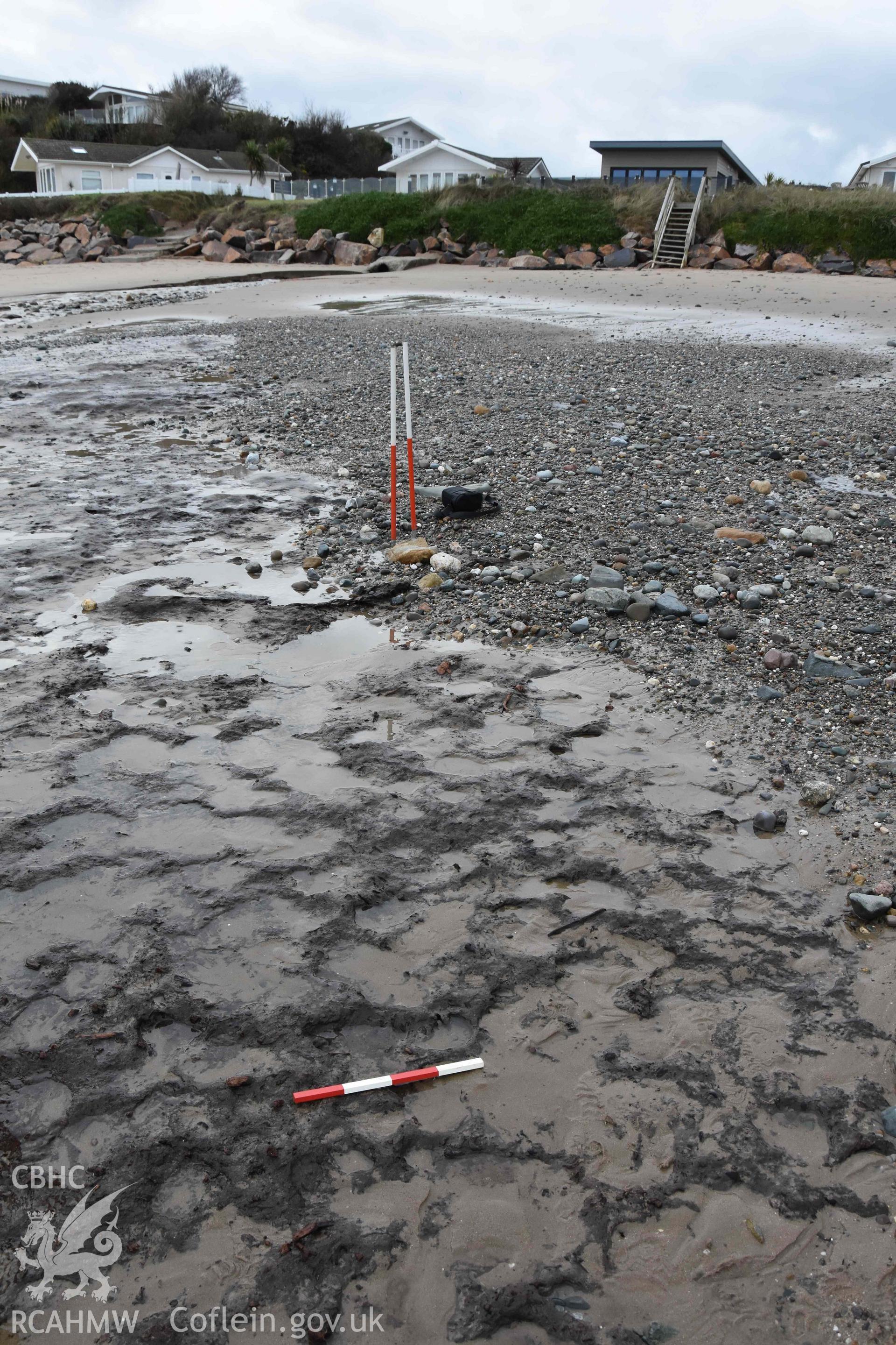 Surface of peat exposure.  View looking west. Part of a photographic survey of the Submerged Forest, Peat Exposures and Footprints on The Warren Beach, Abersoch, conducted by Louise Barker on 21 January 2019. Produced with EU funds through the Ireland Wales Co-operation Programme 2014-2023. All material made freely available through the Open Government Licence.