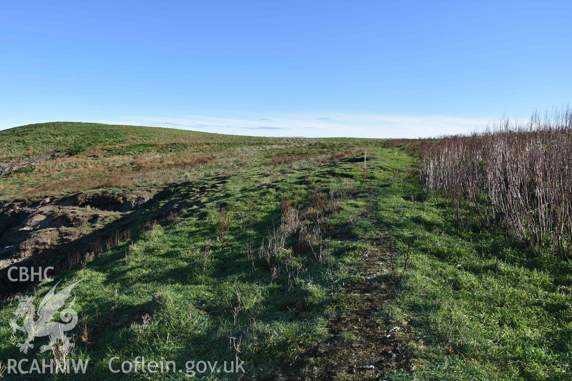 Junction of the promontory enclosure bank with the possible annexe bank. Part of a digital photographic survey conducted on Cardigan Island by Louise Barker of RCAHMW on 30 October 2018. Produced with EU funds through the Ireland Wales Co-operation Programme 2014-2023. All material made freely available through the Open Government Licence.
