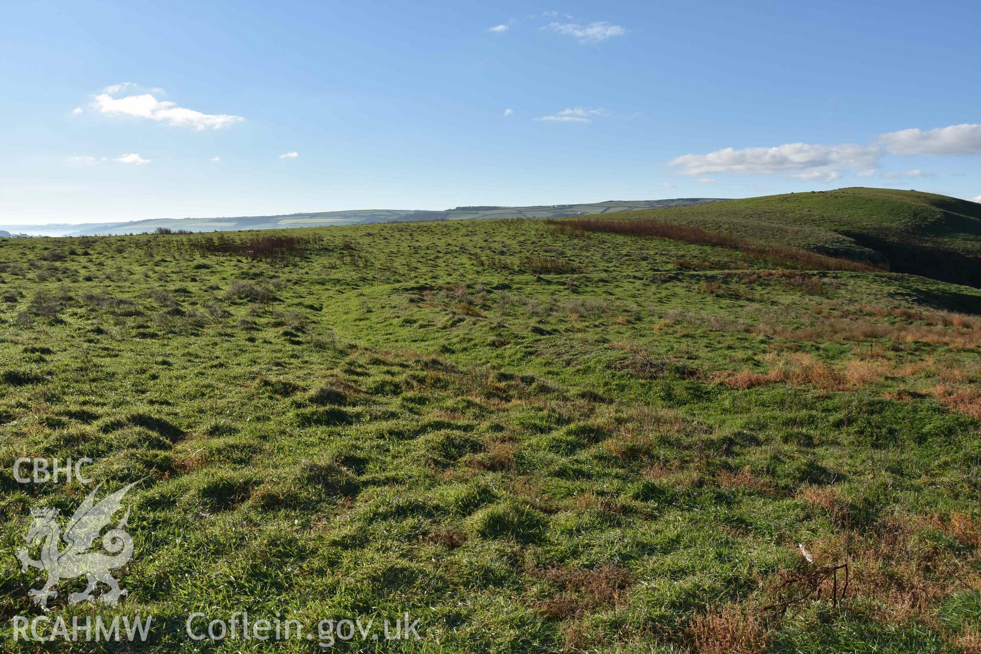 Curving bank defining the southern and western sides of the promontory enclosure. Part of a digital photographic survey conducted on Cardigan Island by Louise Barker of RCAHMW on 30 October 2018. Produced with EU funds through the Ireland Wales Co-operation Programme 2014-2023. All material made freely available through the Open Government Licence.