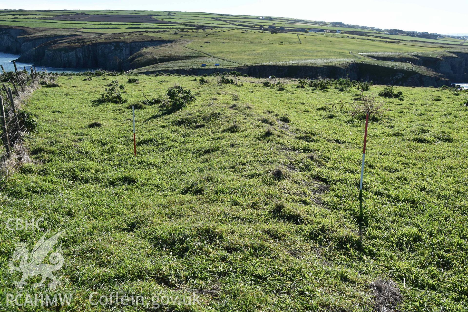 View of possible roundhouse on Cardigan Island, with ranging rod to left of and cutting into linear bank. Part of a photographic survey conducted by Louise Barker of RCAHMW on 30 October 2018. Produced with EU funds through the Ireland Wales Co-operation Programme 2014-2023. All material made freely available through the Open Government Licence.