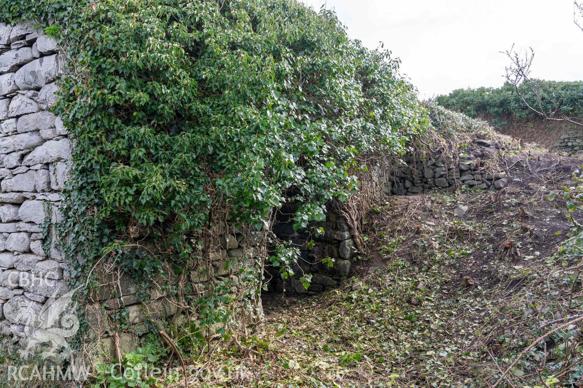 Kiln 1, west elevation. Part of photographic survey of Aberstrincell lime kilns and coal yard, conducted by Louise Barker of the RCAHMW survey team on 21 March 2024.