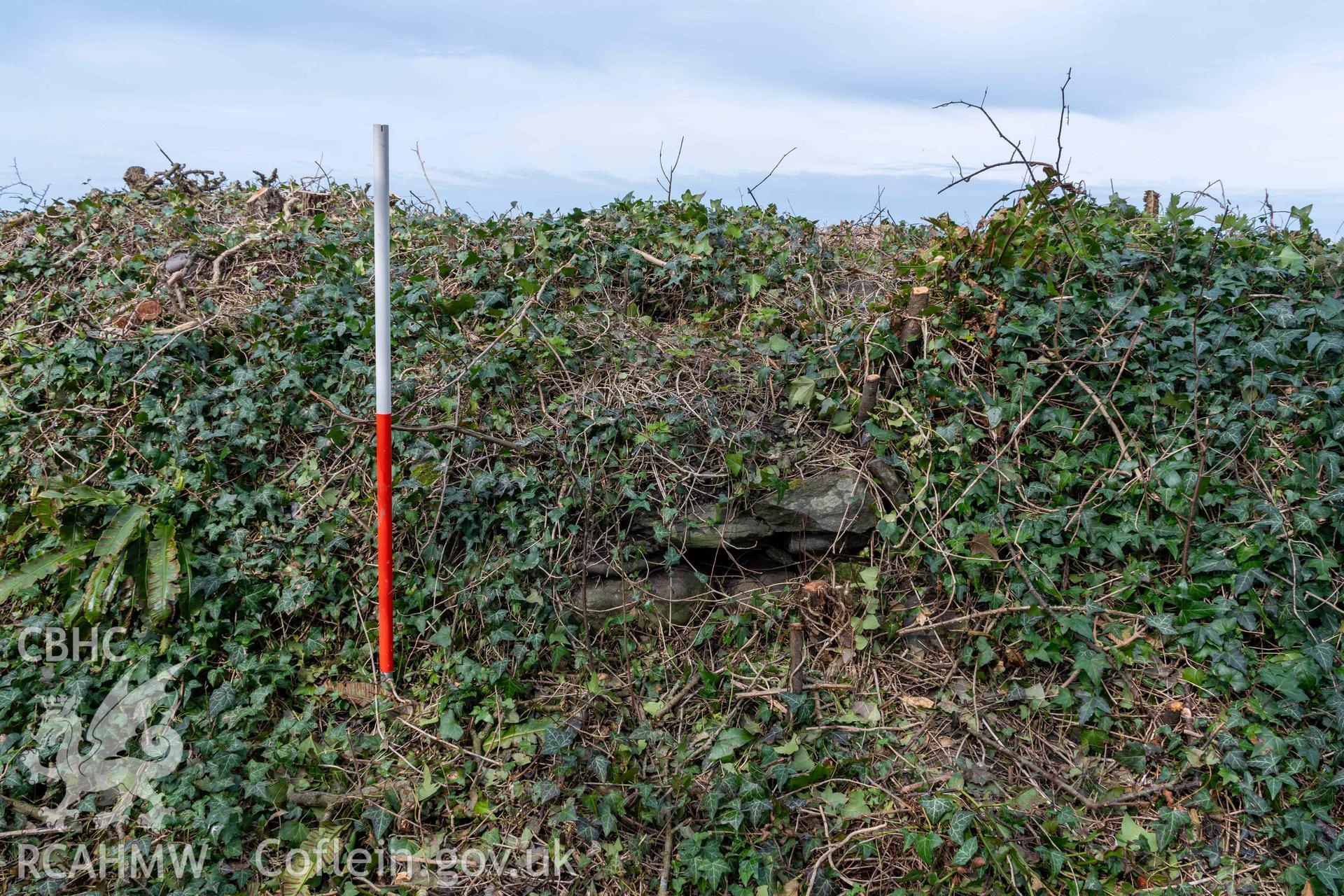 Kiln 2, wall to rear (south) of crucible (with scale). Part of photographic survey of Aberstrincell lime kilns and coal yard, conducted by Louise Barker of the RCAHMW survey team on 21 March 2024.