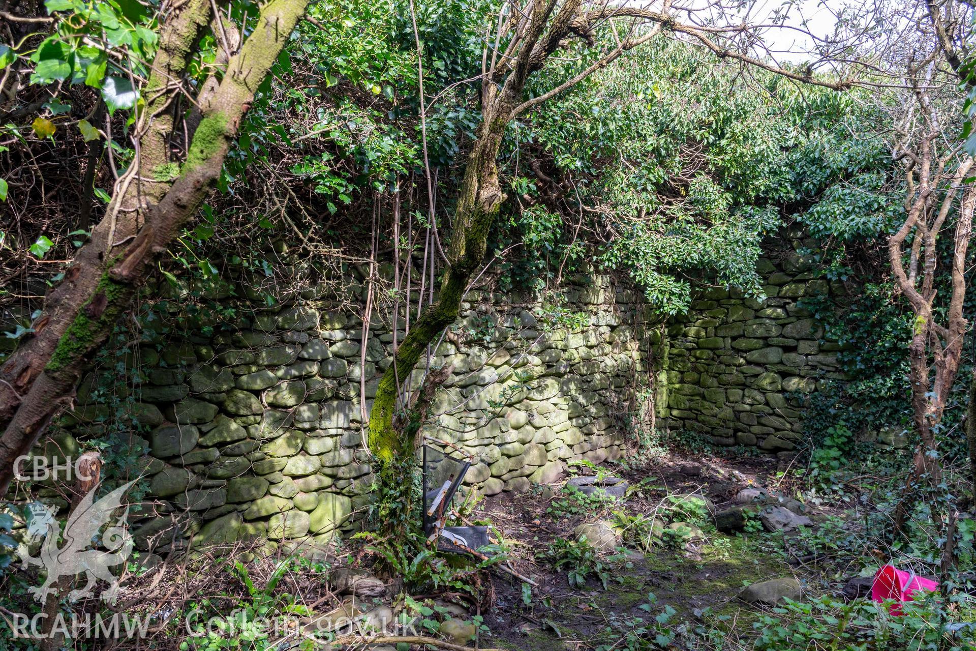 Coal yard, interior north and east wall. Part of photographic survey of Aberstrincell lime kilns and coal yard, conducted by Louise Barker of the RCAHMW survey team on 21 March 2024.