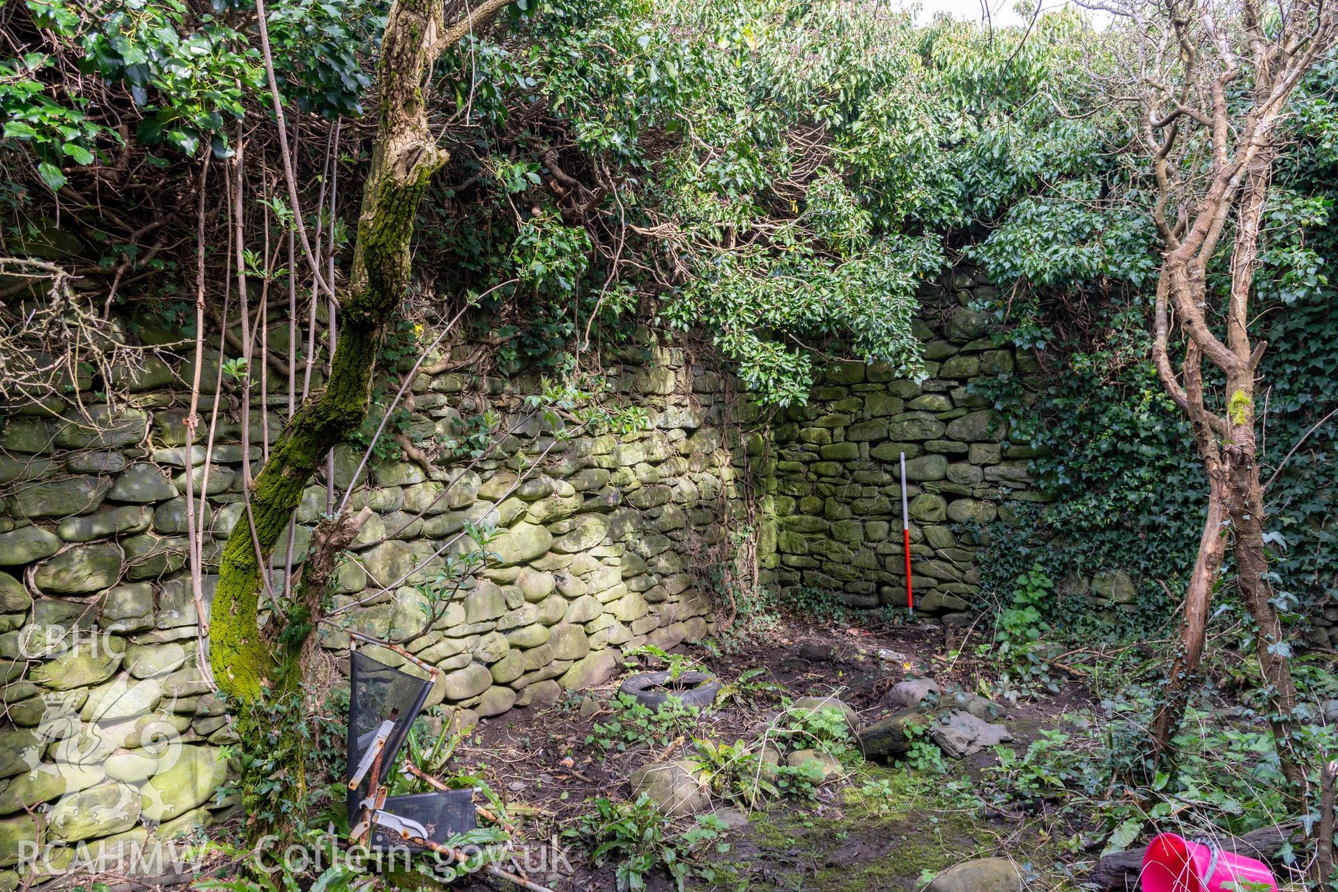 Coal yard, interior north and east wall (with scale). Part of photographic survey of Aberstrincell lime kilns and coal yard, conducted by Louise Barker of the RCAHMW survey team on 21 March 2024.