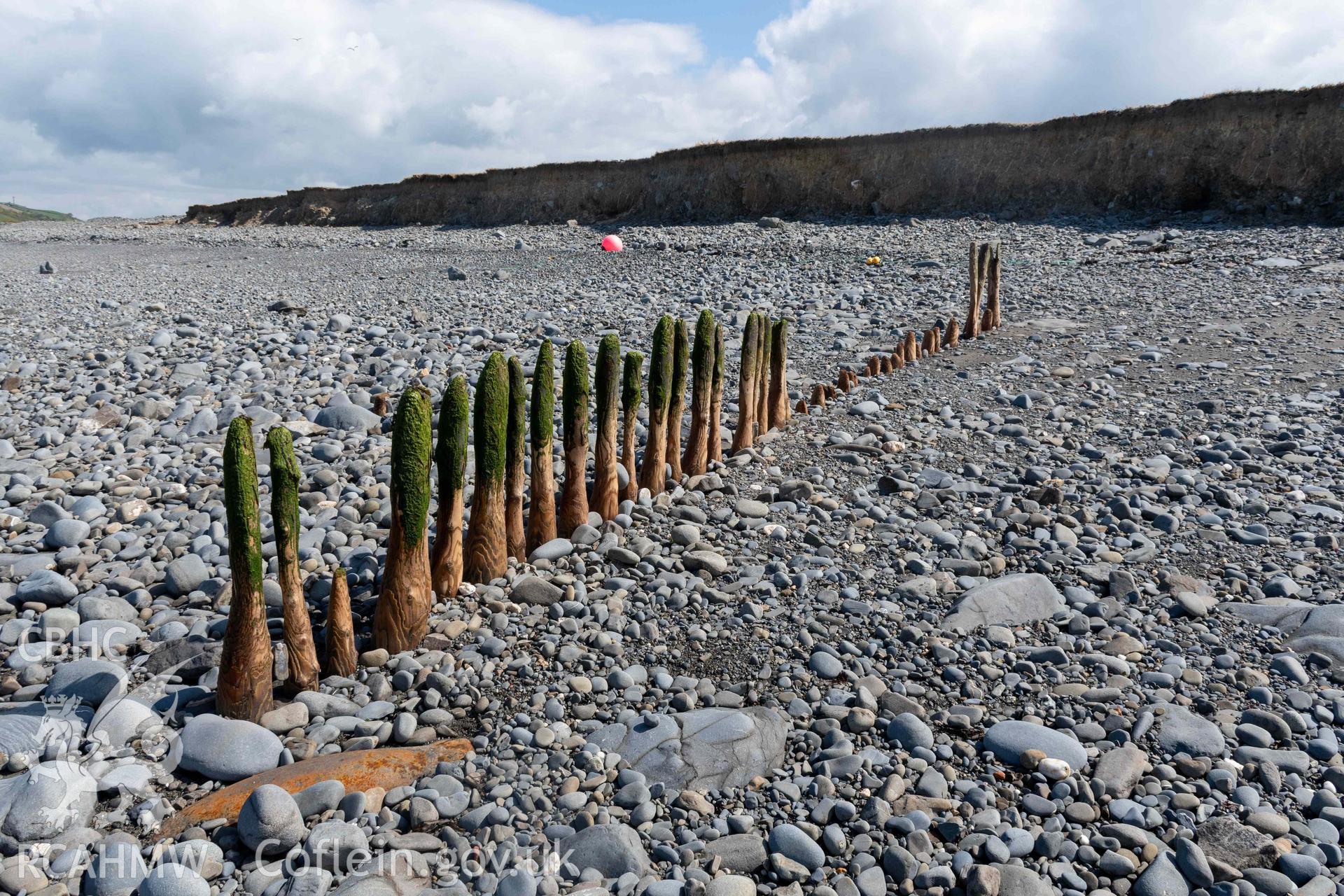 Groyne (SN5213968609), Aberstrincell, looking east. Part of photographic survey of Aberstrincell lime kilns and coal yard, conducted by Louise Barker of the RCAHMW survey team on 21 March 2024.