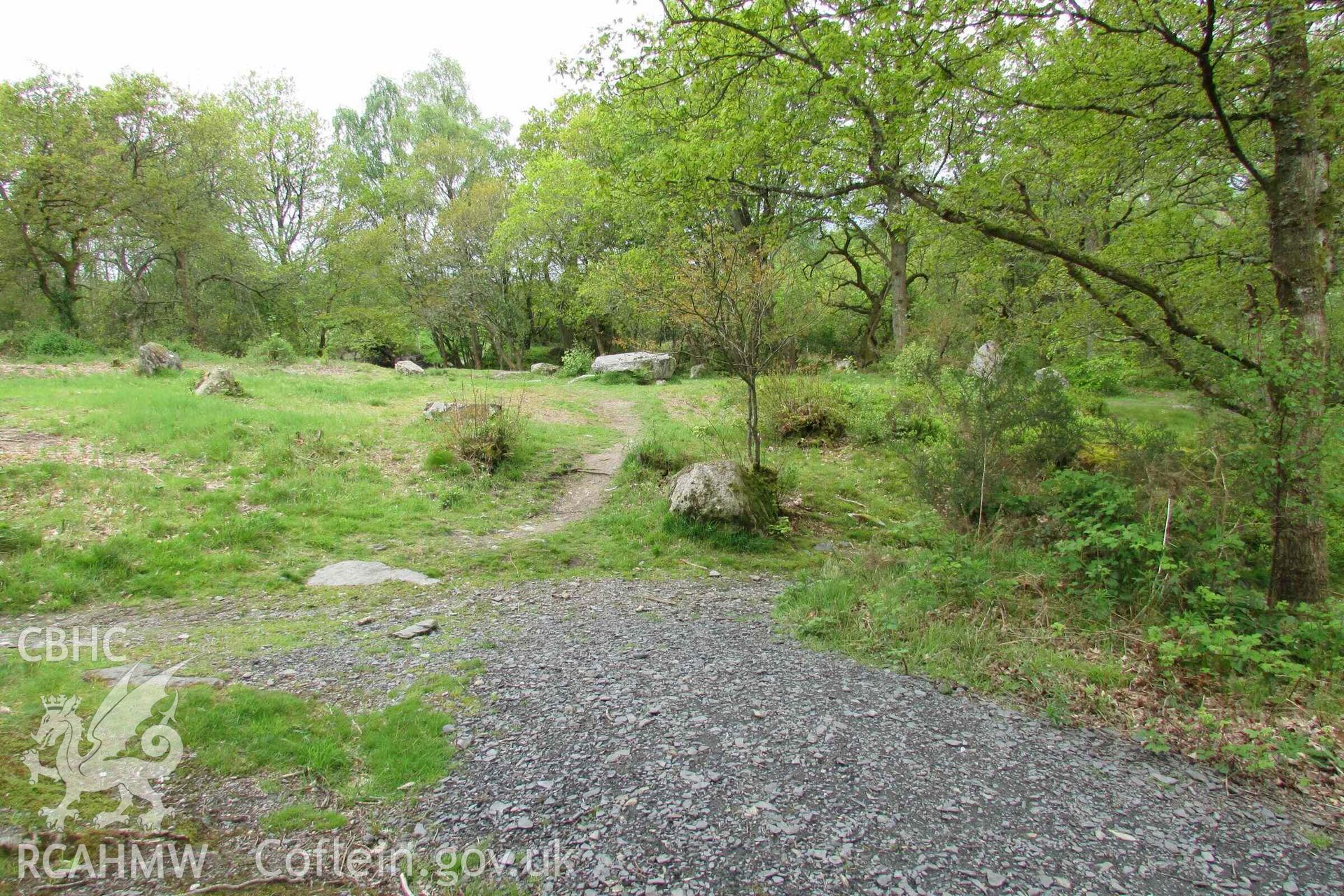 Photograph showing the Gorsedd Circle at Corwen.