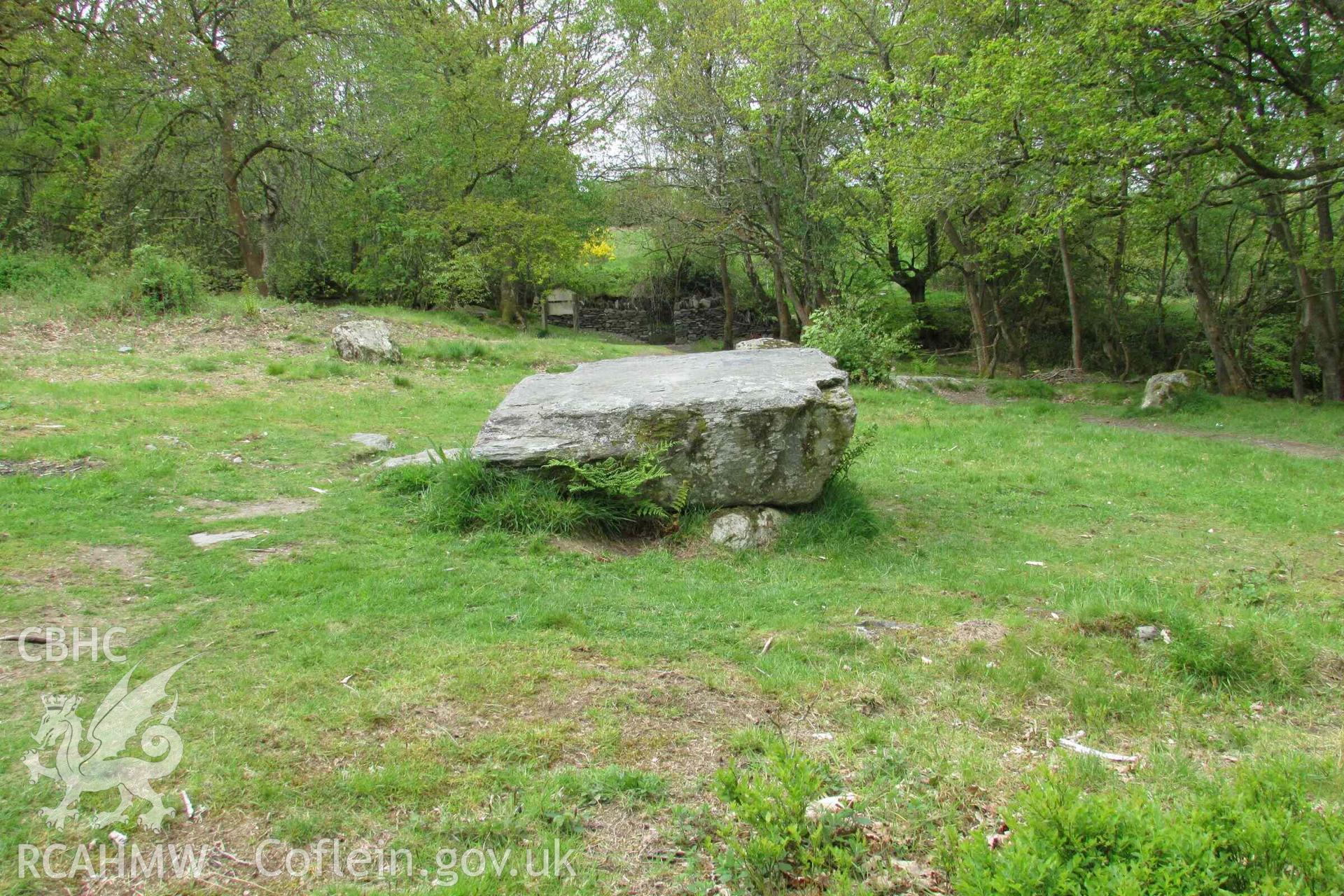 Photograph showing the Gorsedd Circle at Corwen.