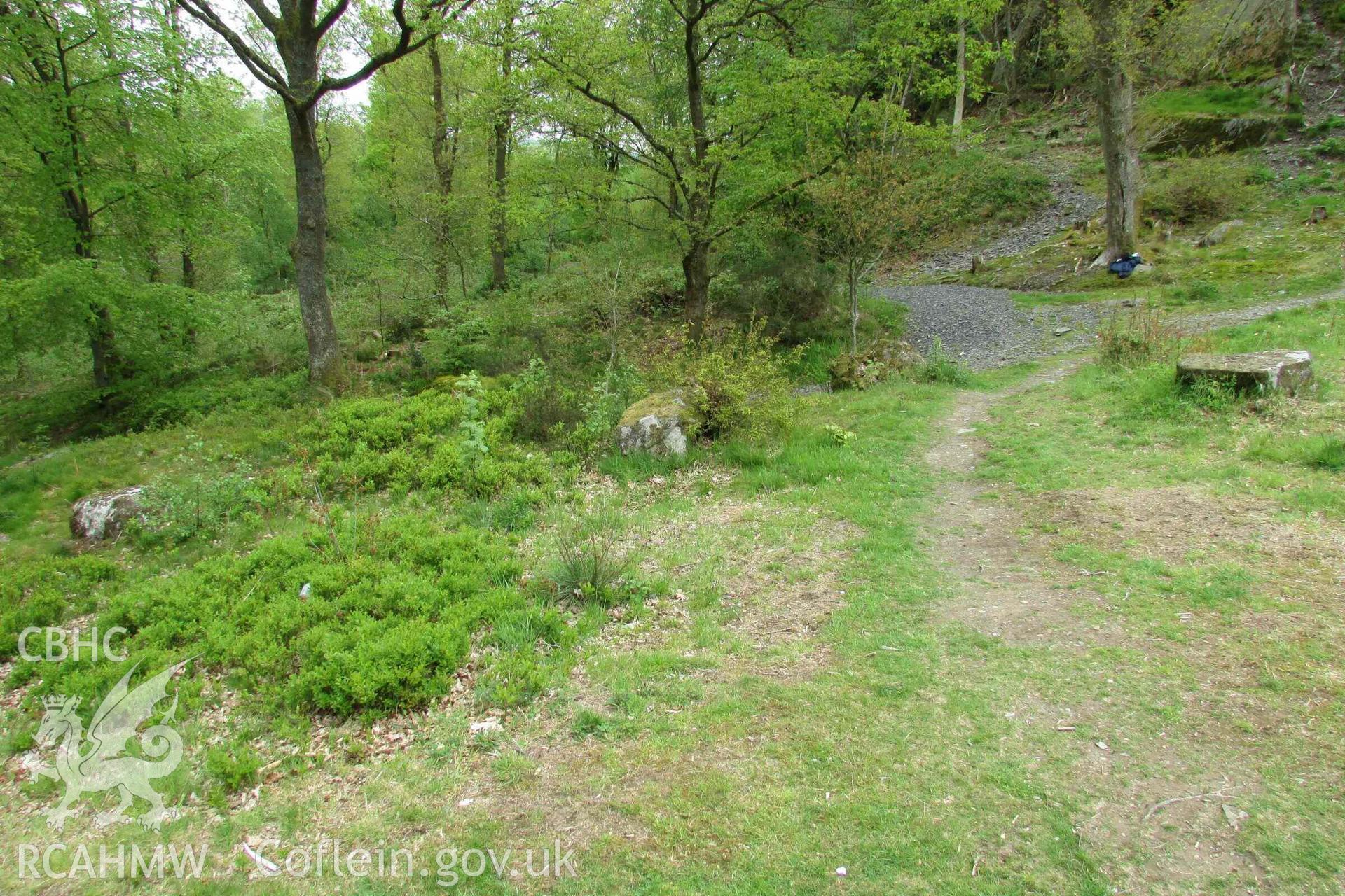 Photograph showing the Gorsedd Circle at Corwen.