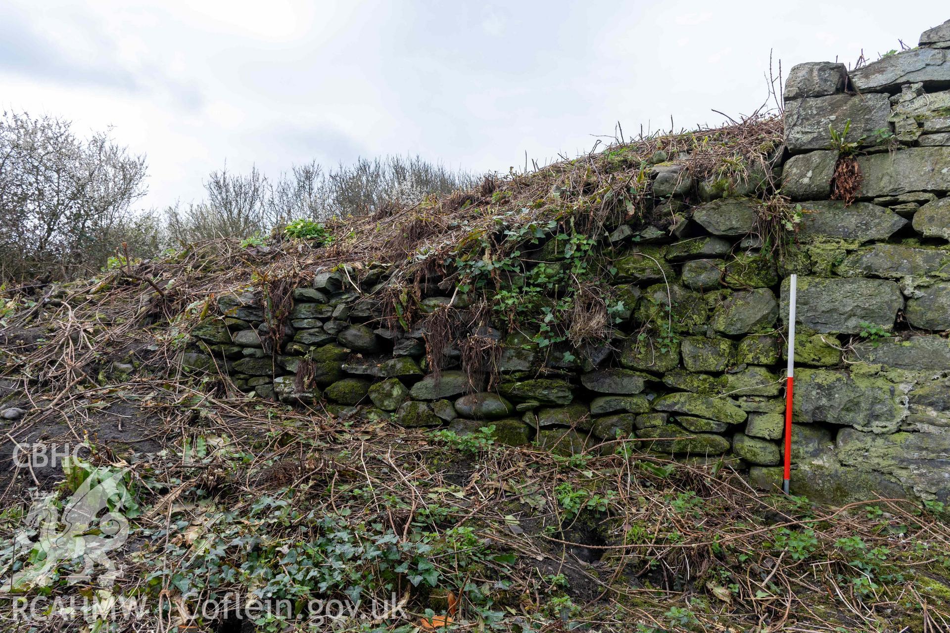 Kiln 4, retaining wall attached to east elevation for access ramp to kiln top (with scale). Part of photographic survey of Aberstrincell lime kilns and coal yard, conducted by Louise Barker of the RCAHMW survey team on 21 March 2024.