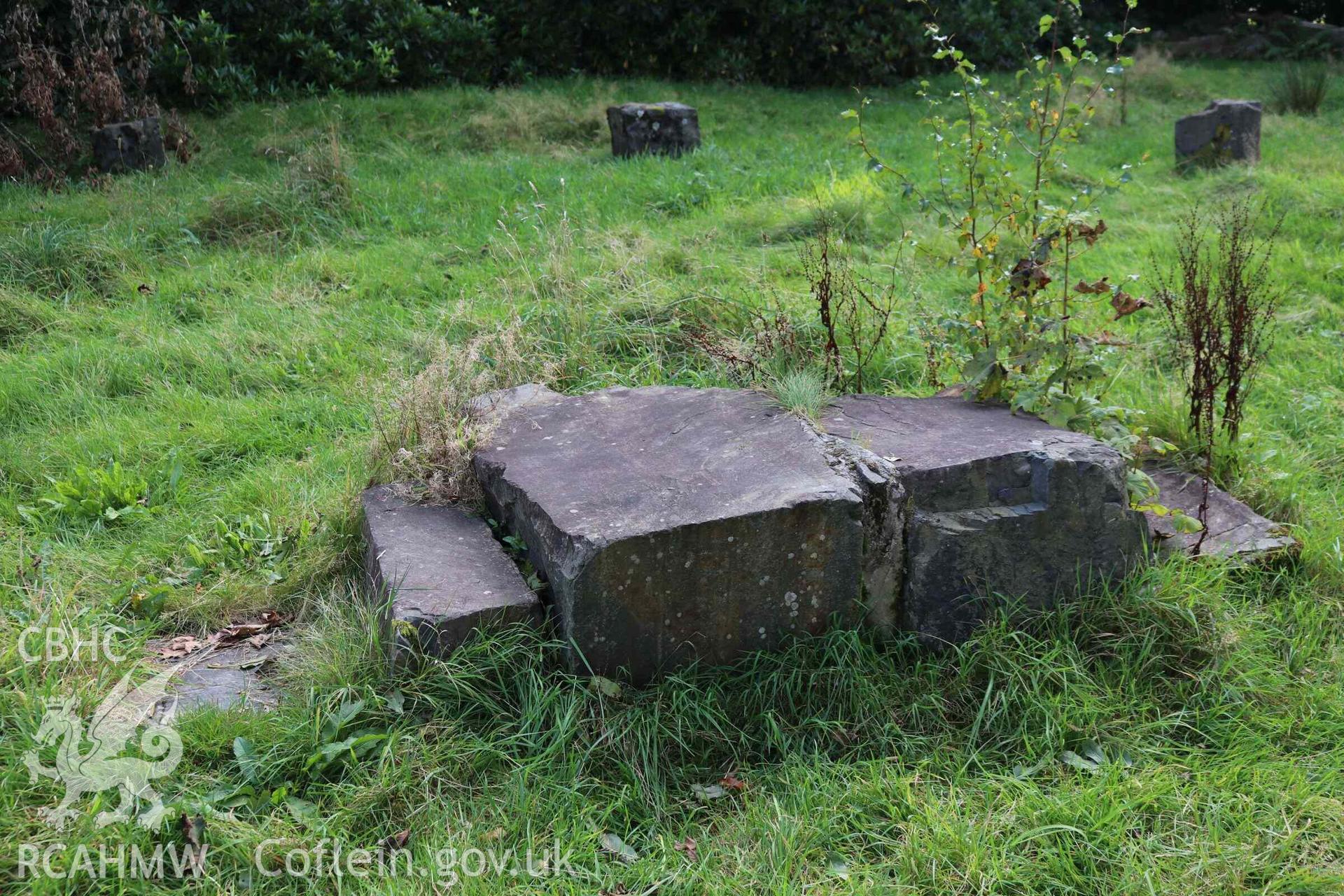 Photograph showing the Gorsedd Circle at the Y Plas, Machynlleth.