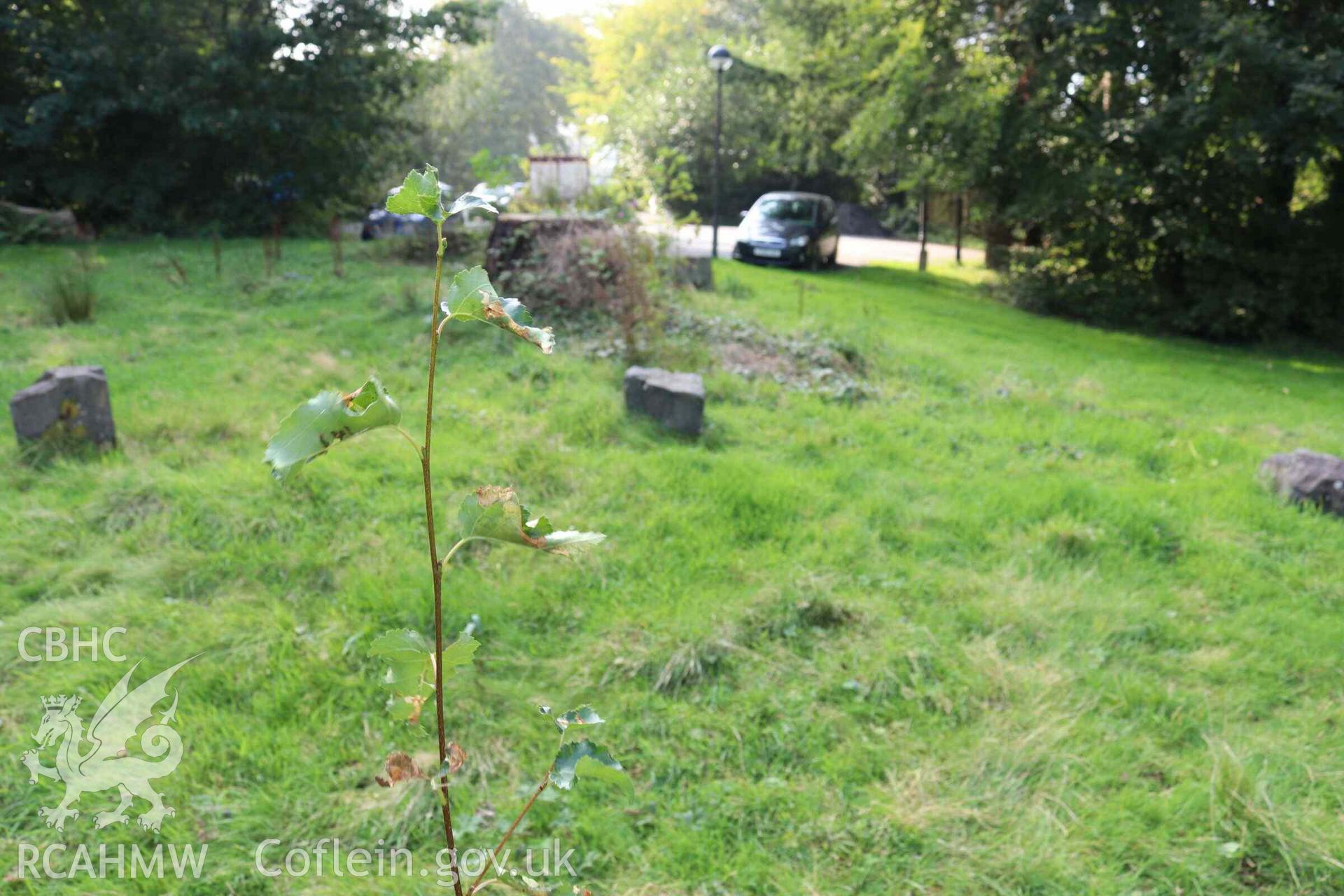 Photograph showing the Gorsedd Circle at the Y Plas, Machynlleth.