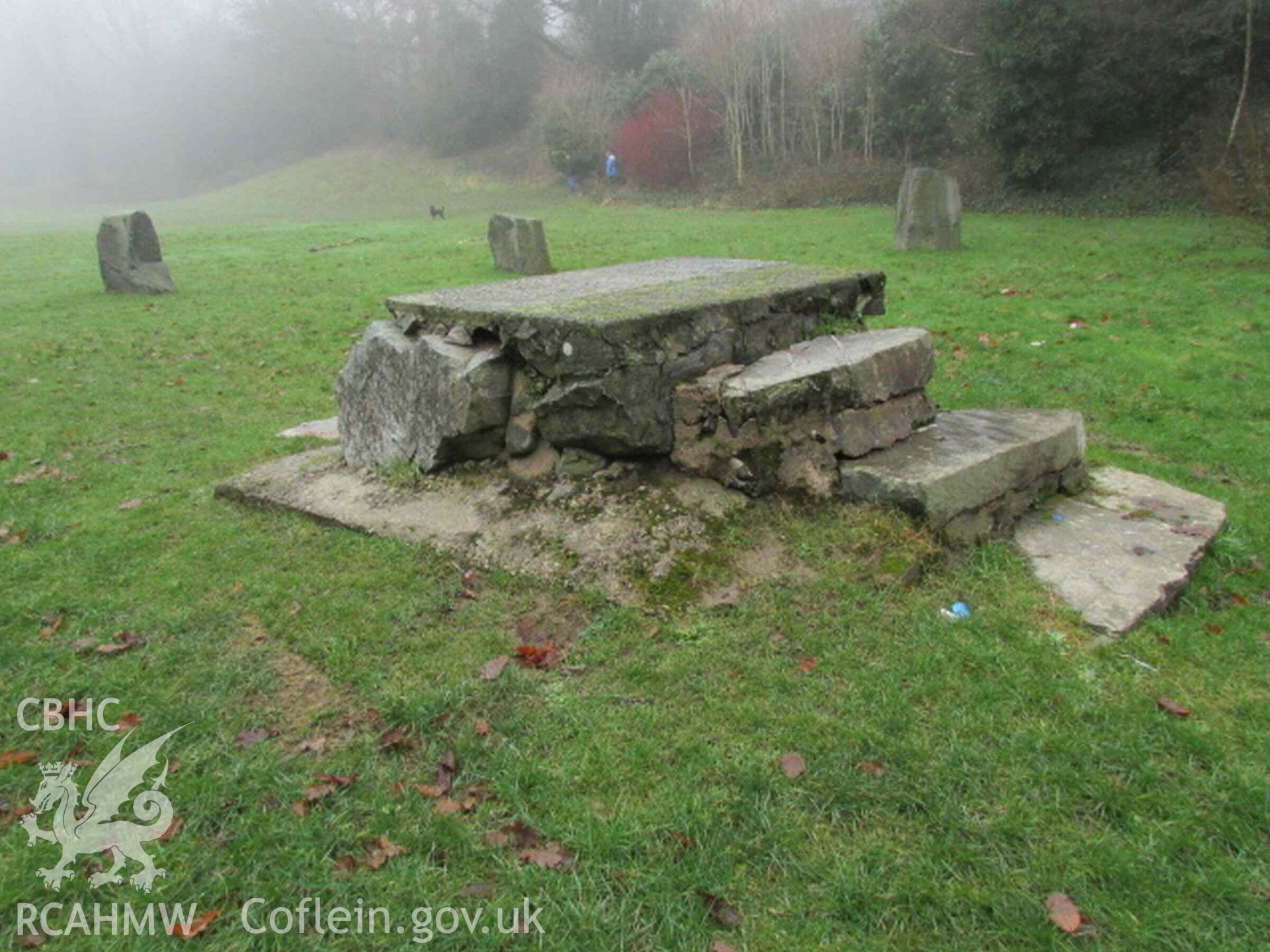 Photograph showing the Gorsedd Circle at Y Drenewydd (Newtown).