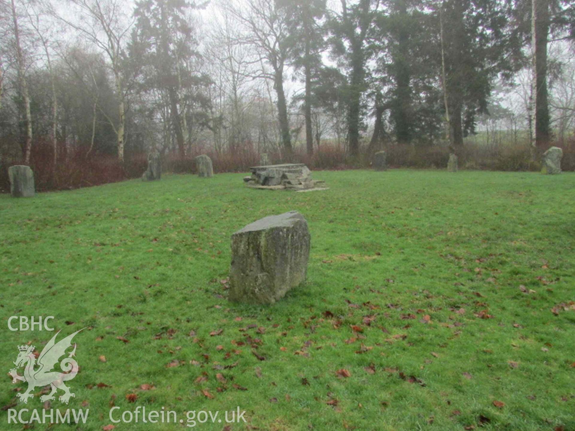 Photograph showing the Gorsedd Circle at Y Drenewydd (Newtown).