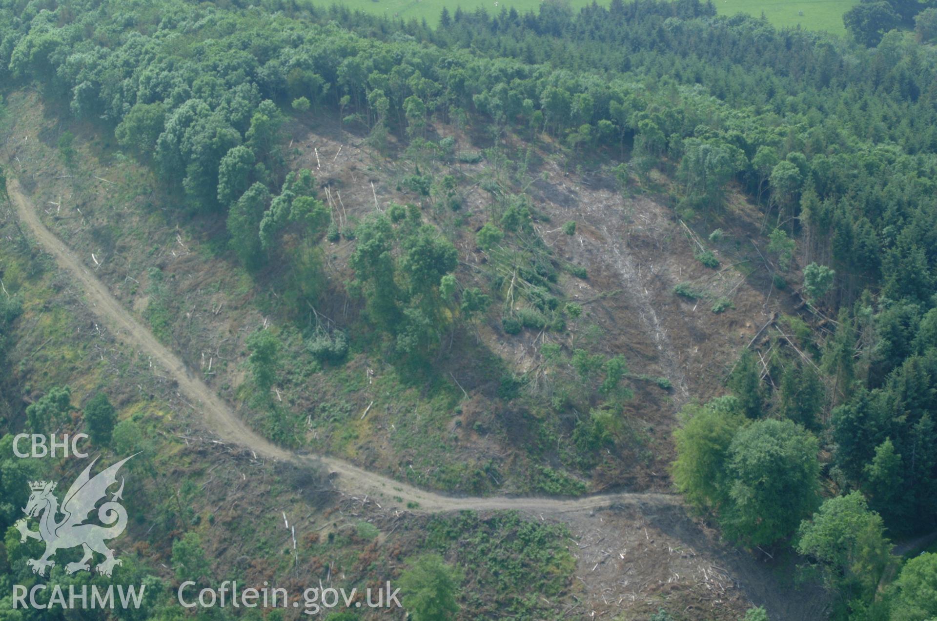 RCAHMW colour oblique aerial photograph of a possible enclosure at Bryngwyn Wood taken on 08/06/2004 by Toby Driver