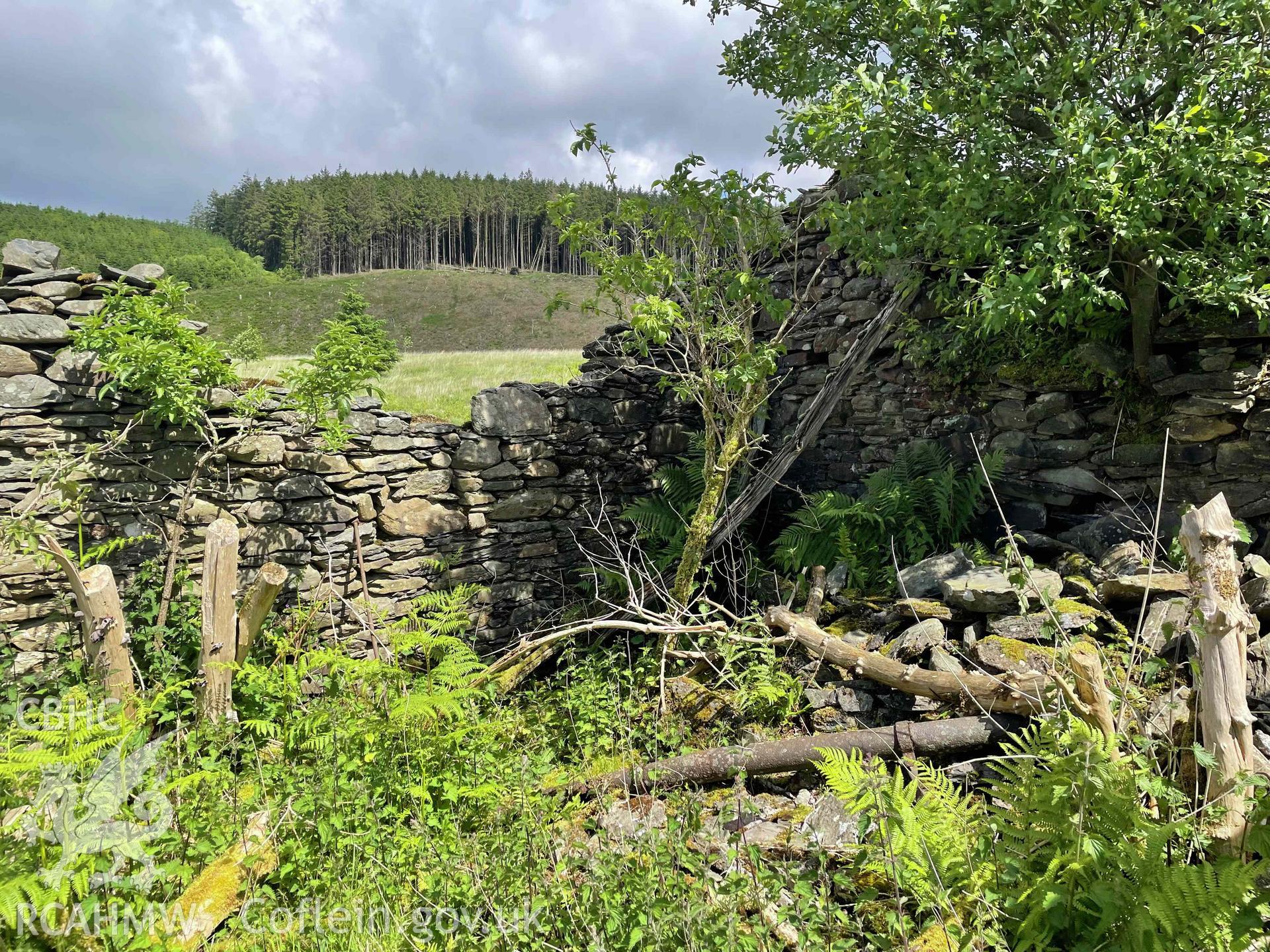 Photograph showing Pantyffynnon Isaf ruin, taken as a condition of planning in June 2024 (reference no. A220202 Planning Authority: Ceredigion).