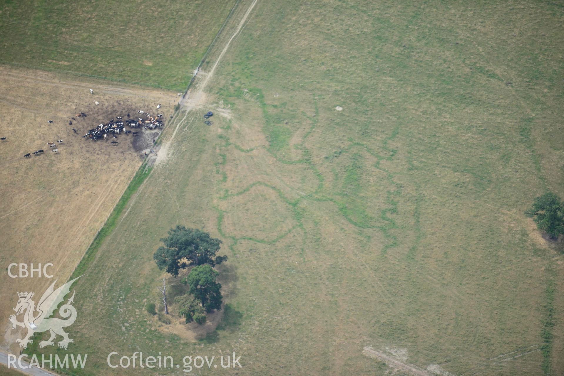 Kinmel Park WW1 trenches. Oblique aerial photograph taken during the Royal Commission’s programme of archaeological aerial reconnaissance by Toby Driver on 10 July 2018.