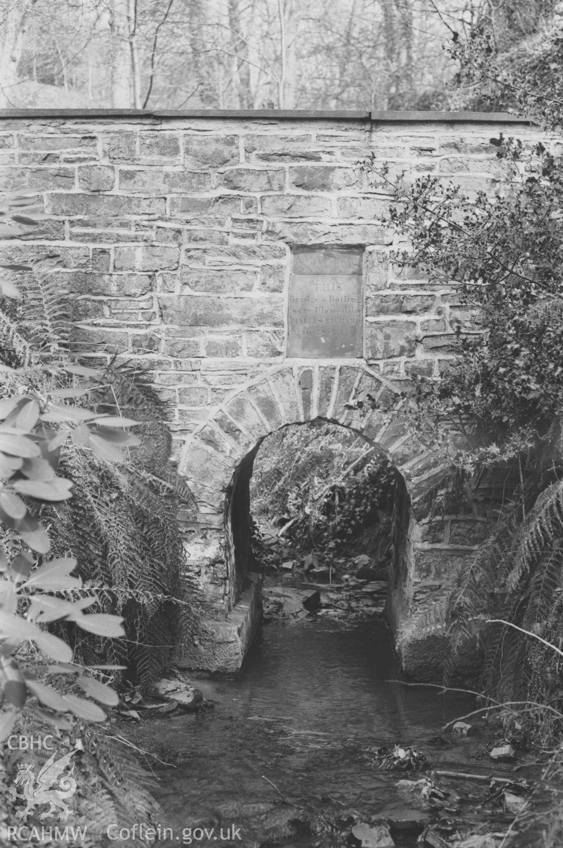 Digital copy of a black and white negative showing footbridge over the stream in Penglais Dingle, 200m south south west of Plas Penglais, at the south east corner of Dan-y-Coed housing estate. Photographed by Arthur Chater on 4 April 1969. Looking north east from Grid Reference SN 59340 8202.