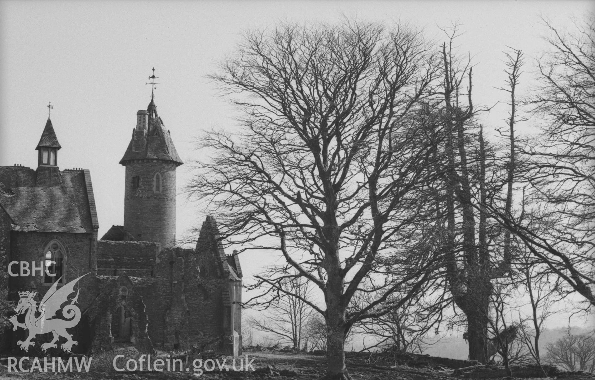Digital copy of a black and white negative showing the Bronwydd ruins, with an old larch tree on the right. Photographed by Arthur Chater on 5 April 1969. Looking south from Grid Reference SN 3529 4328.