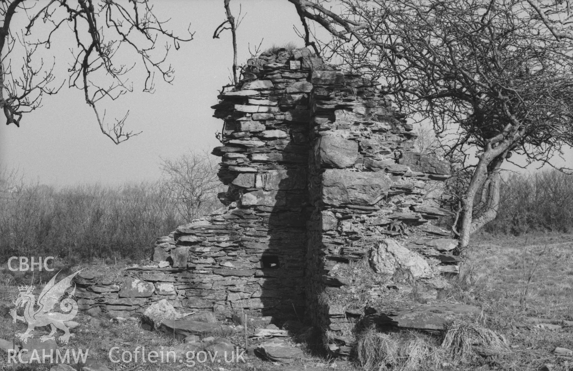 Digital copy of a black and white negative showing ruin of the inside of the south eastern corner of Llanfairtrefhelygen church. Photographed by Arthur Chater on 5 April 1969. Looking east from Grid Reference SN 3438 4414.
