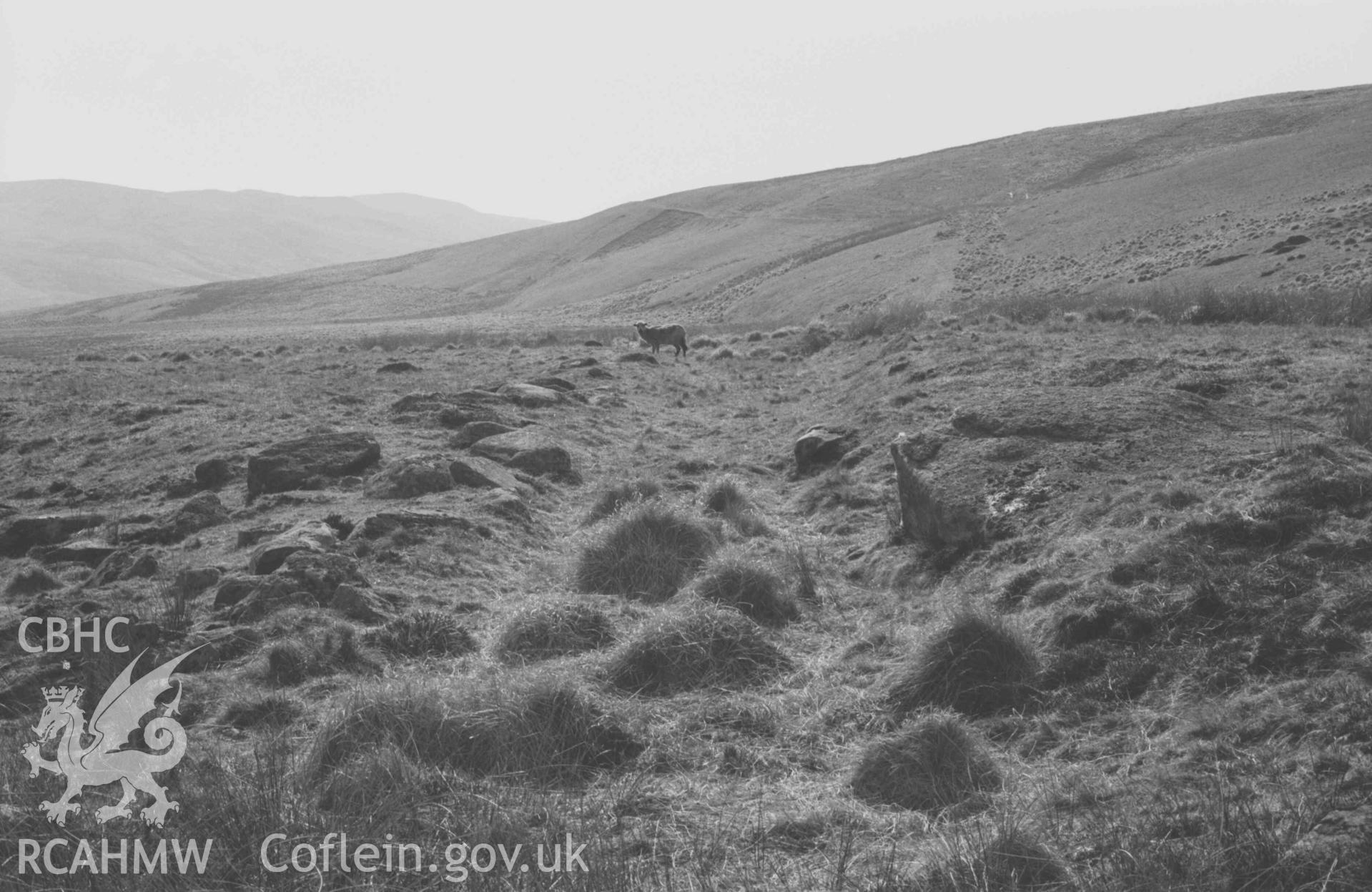 Digital copy of a black and white negative showing view along the old road from immediatley west of Rhyd Hengae. Photographed by Arthur Chater on 8 April 1969. Looking west south west from Grid Reference SN 8232 6820.