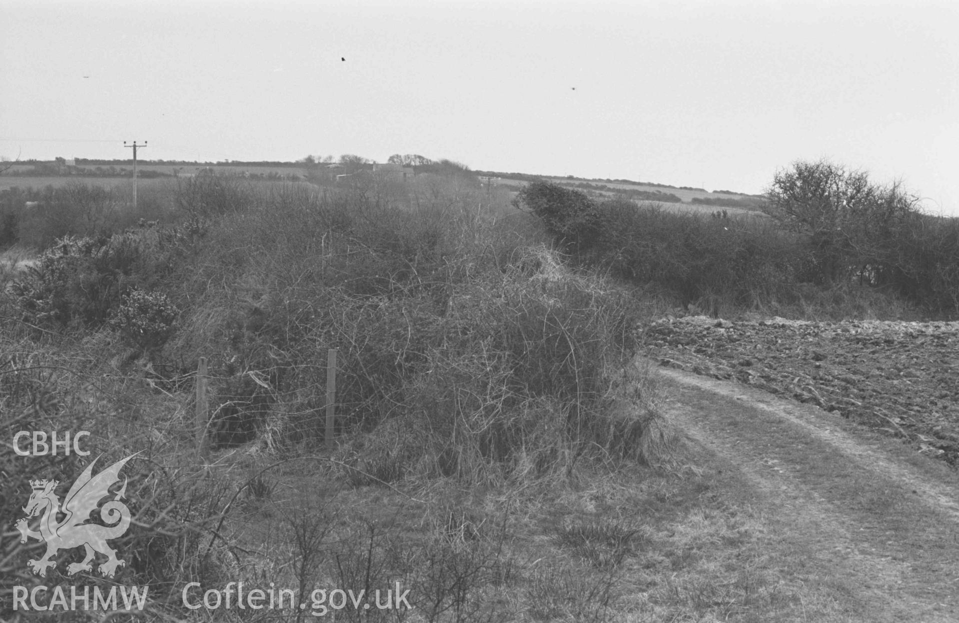 Digital copy of a black and white negative showing site of windmill 150m north east of Blaen-Penrhyn, 1km south south west of New Quay Church, no remains of windmill seen. Photographed by Arthur Chater on 9 April 1969. Looking south west from Grid Reference SN 3823 5899.