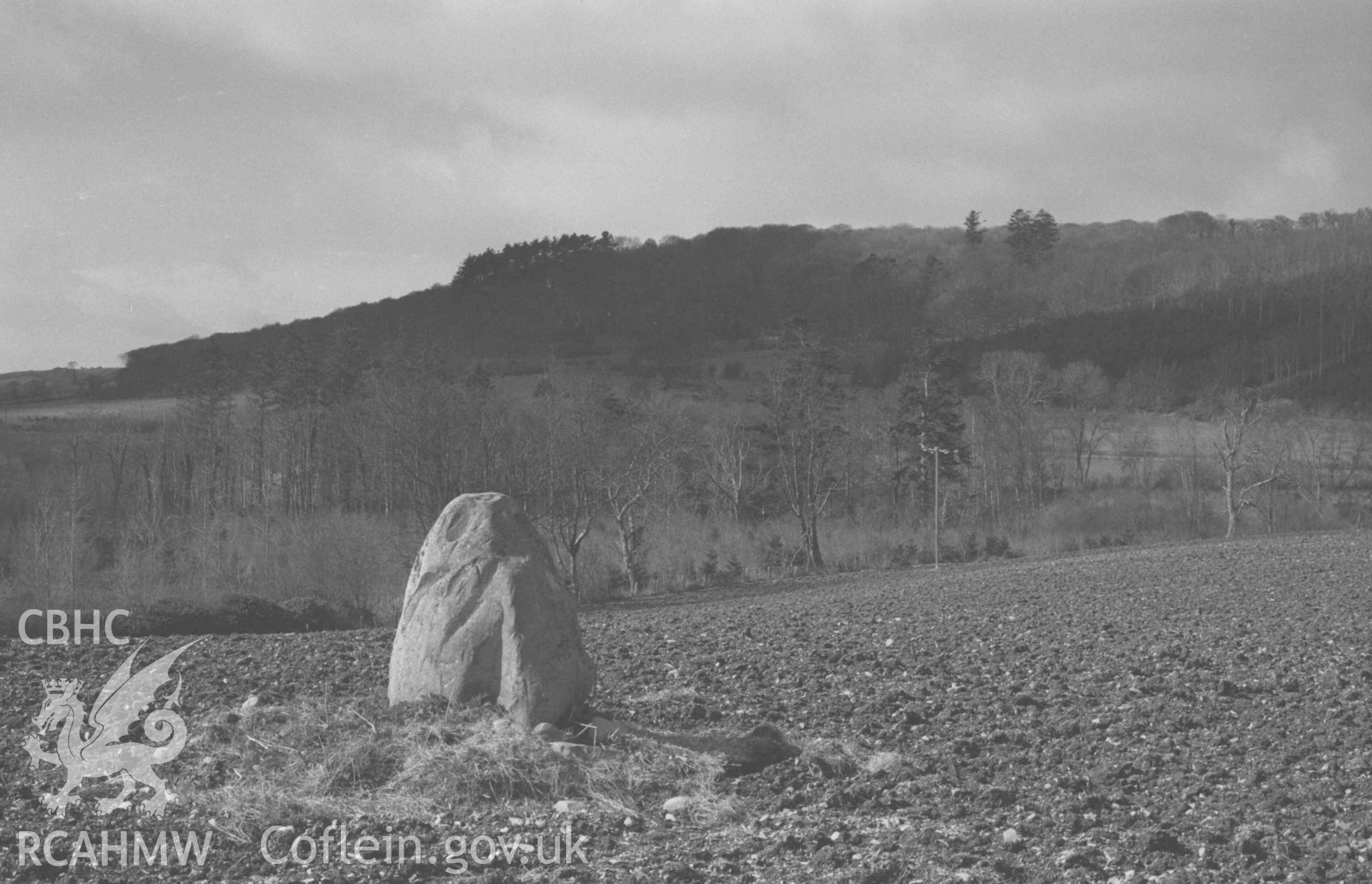 Digital copy of a black and white negative showing standing stone in field 450m west south west of Plas Gogerddan; Coed Ffynnon - Caradog on skyline beyond. Photographed by Arthur Chater on 12 April 1969. Looking south west from Grid Reference SN 6251 8354.