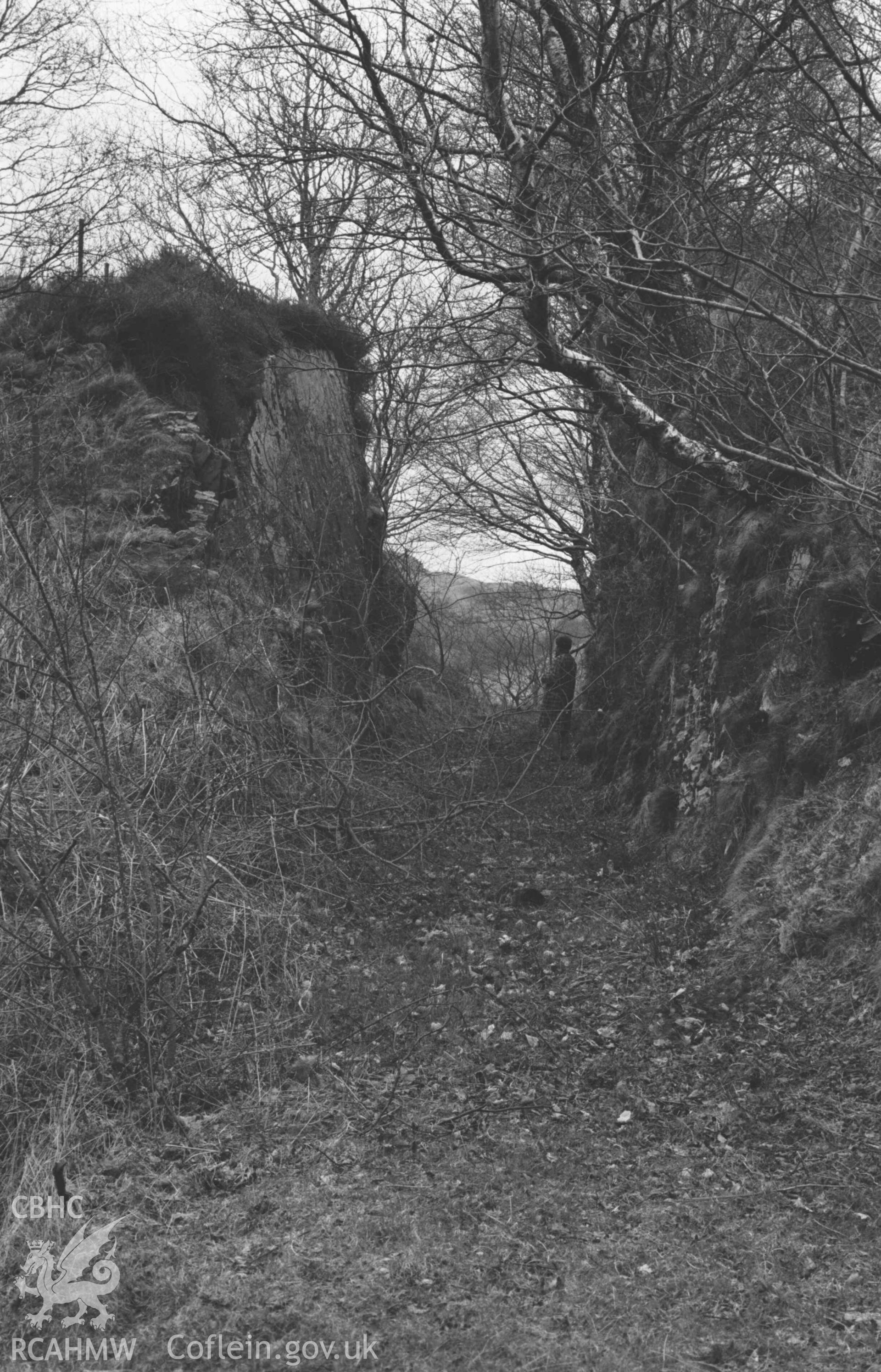 Digital copy of a black and white negative showing cutting of Hafan-Llandre railway, from the road to Capel Bethesda. Photographed by Arthur Chater on 13 April 1969. Looking east from Grid Reference SN 6914 8850.