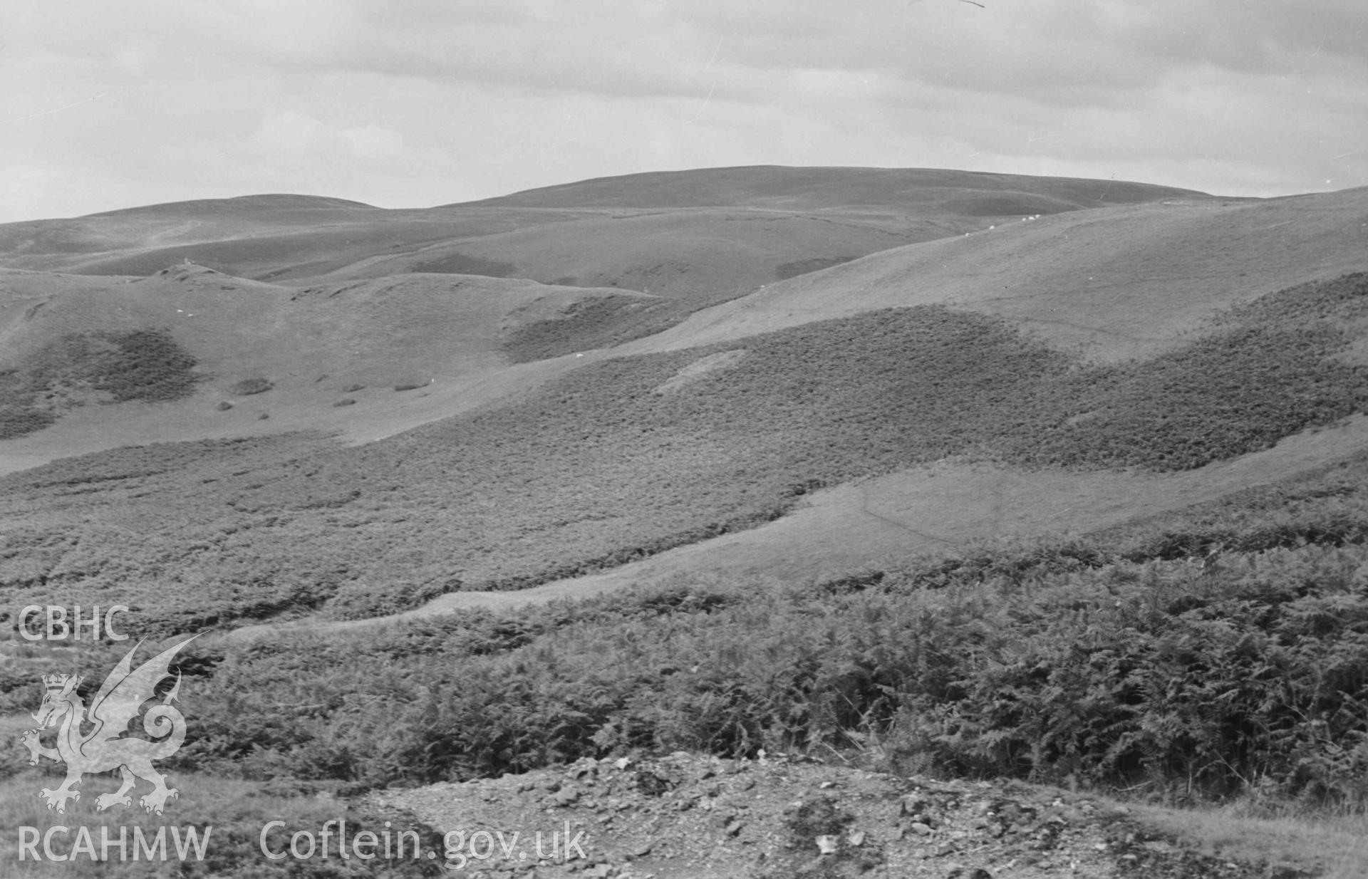 Digital copy of a black and white negative showing view down the Nant Rhysgog from just above the lead mine, showing beech tree, old track, mine ruins, and Talcen y Cnwch hill on the right (Panorama, photograph 3 of 3). Photographed by Arthur Chater on 23 August 1969. Looking north west from Grid Reference SN 6815 5373.