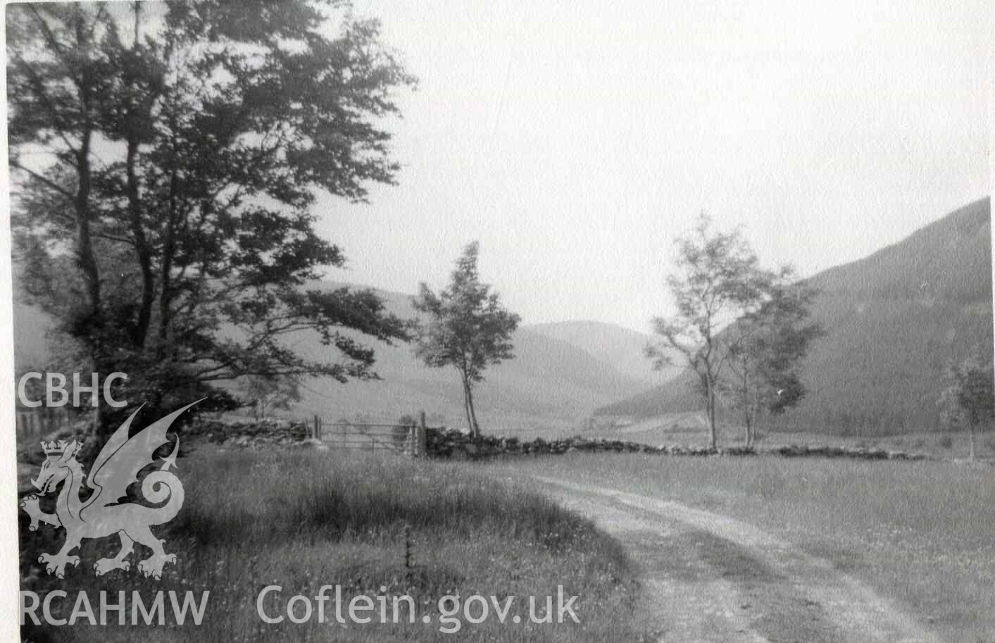 Road to Cae Gwyn, south of Hafod Dwyryd. Photographed by Ronald and Joan Adams in about 1965.