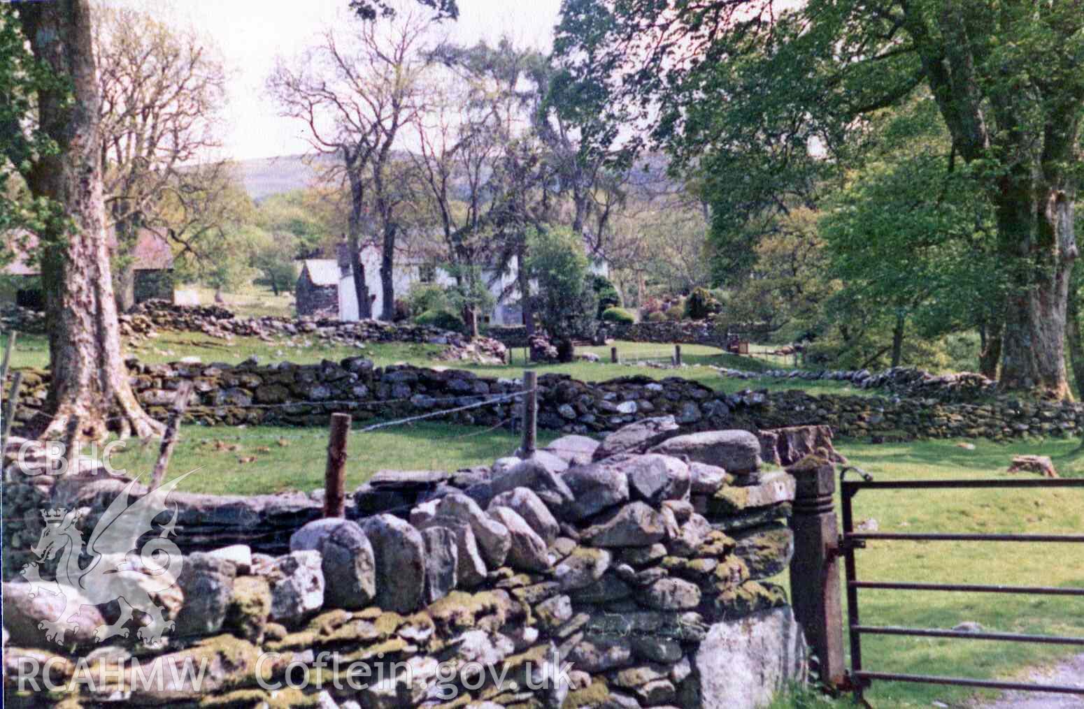 Drystone walls at Hafod Dwyryd. Photographed by Ronald and Joan Adams in the mid 1970s.