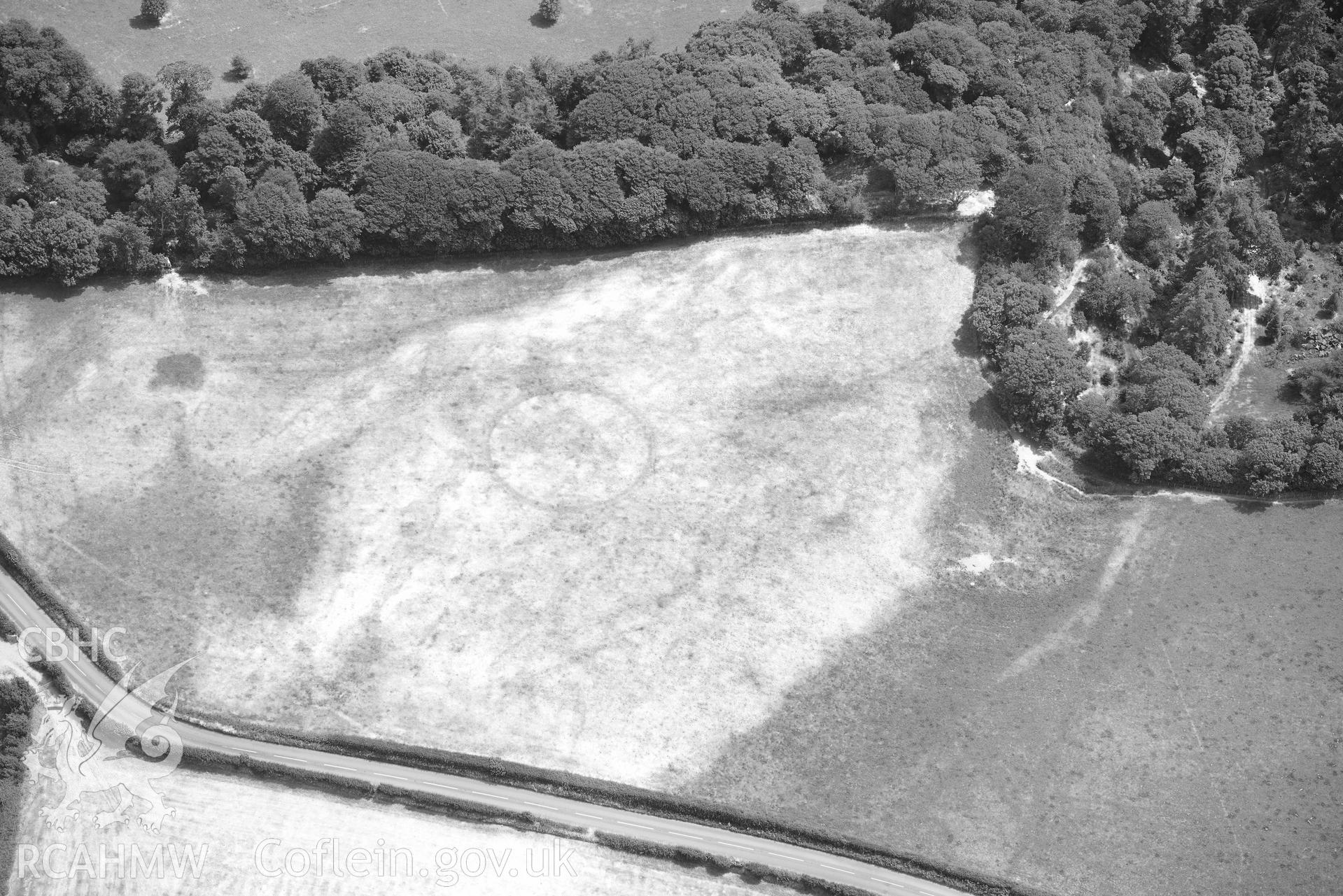 Coed Nant yr Alar enclosure. Oblique black and whtie aerial photograph taken during the Royal Commission’s programme of archaeological aerial reconnaissance by Toby Driver on 10 July 2018.