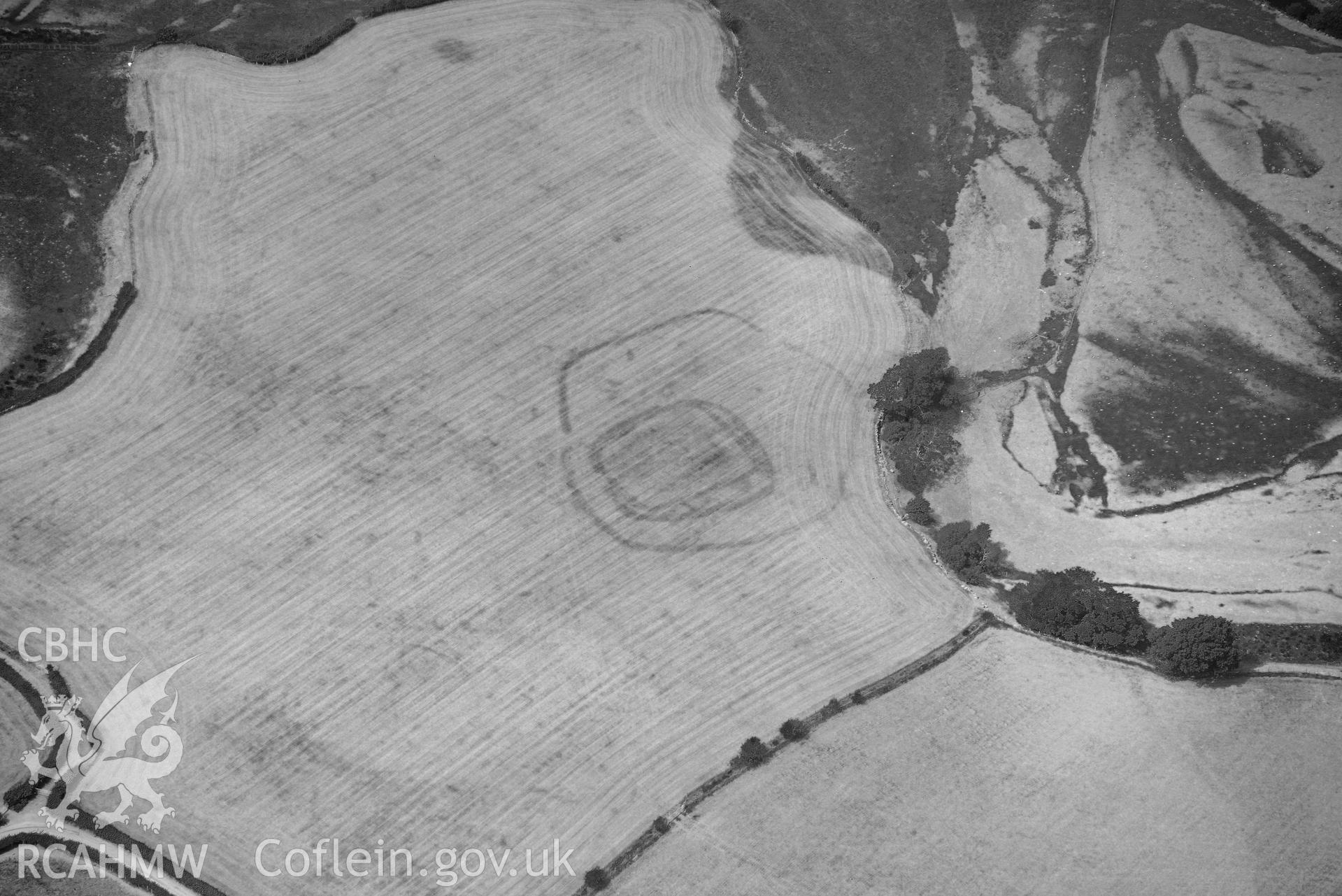 Detailed view of Dyffryn Dysynni defended enclosure. Oblique black and white aerial photograph taken during the Royal Commission’s programme of archaeological aerial reconnaissance by Toby Driver on 10 July 2018.