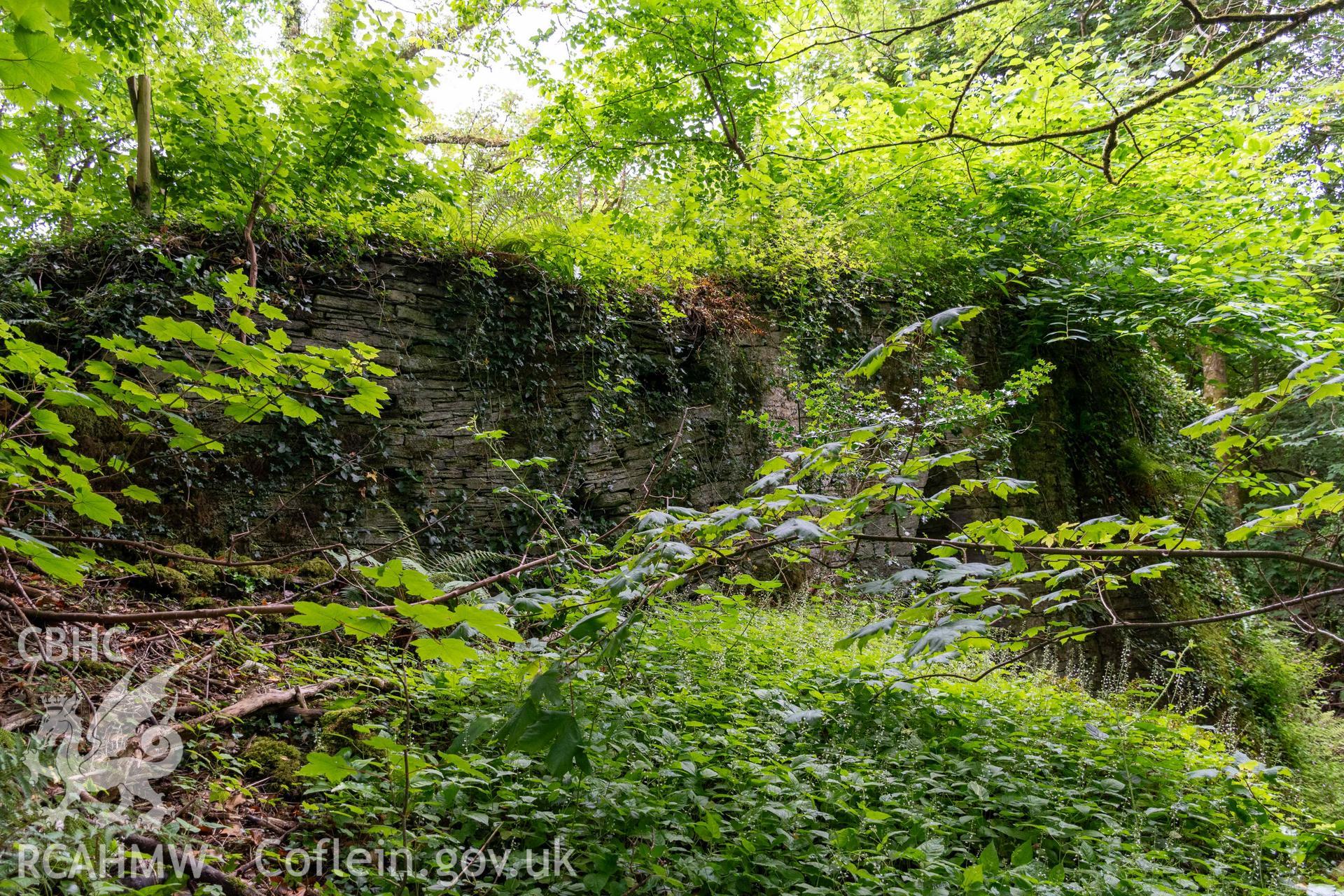 Upper terrace and south section of the east wall of the kiln.