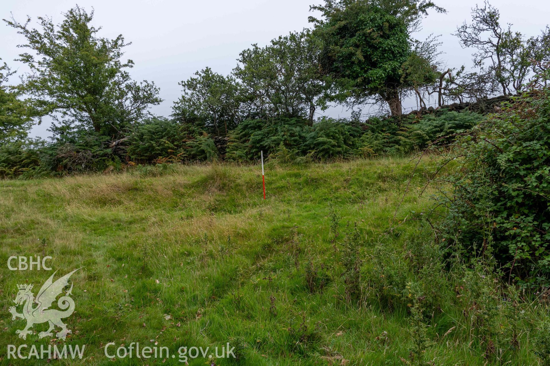 Lime Kiln, Llechollwyn. Revetted trackway to east of kiln (with scale).