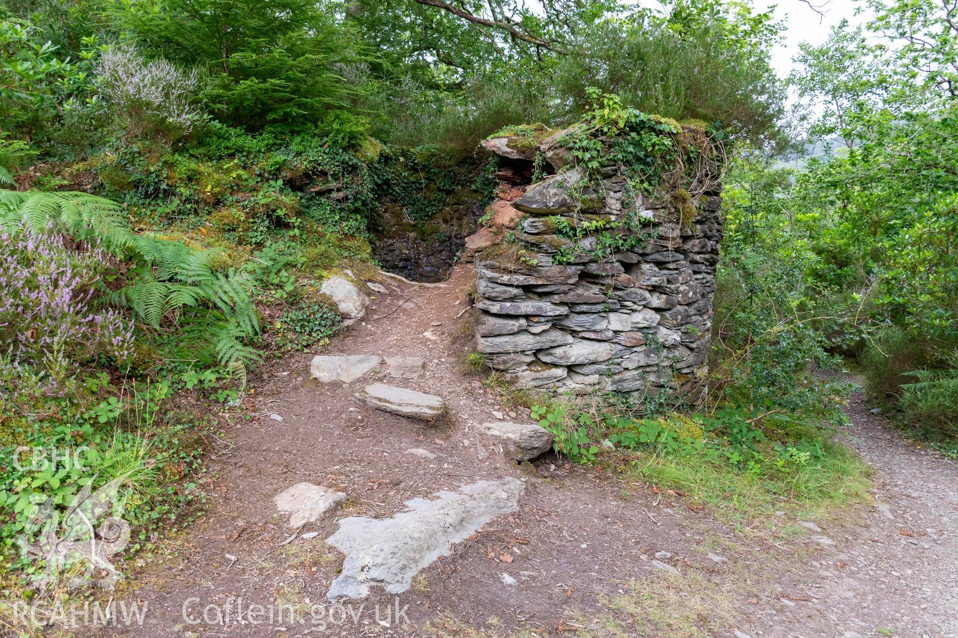 Lime Kiln, Coed y Garth. Collapsed kiln eye in south side.