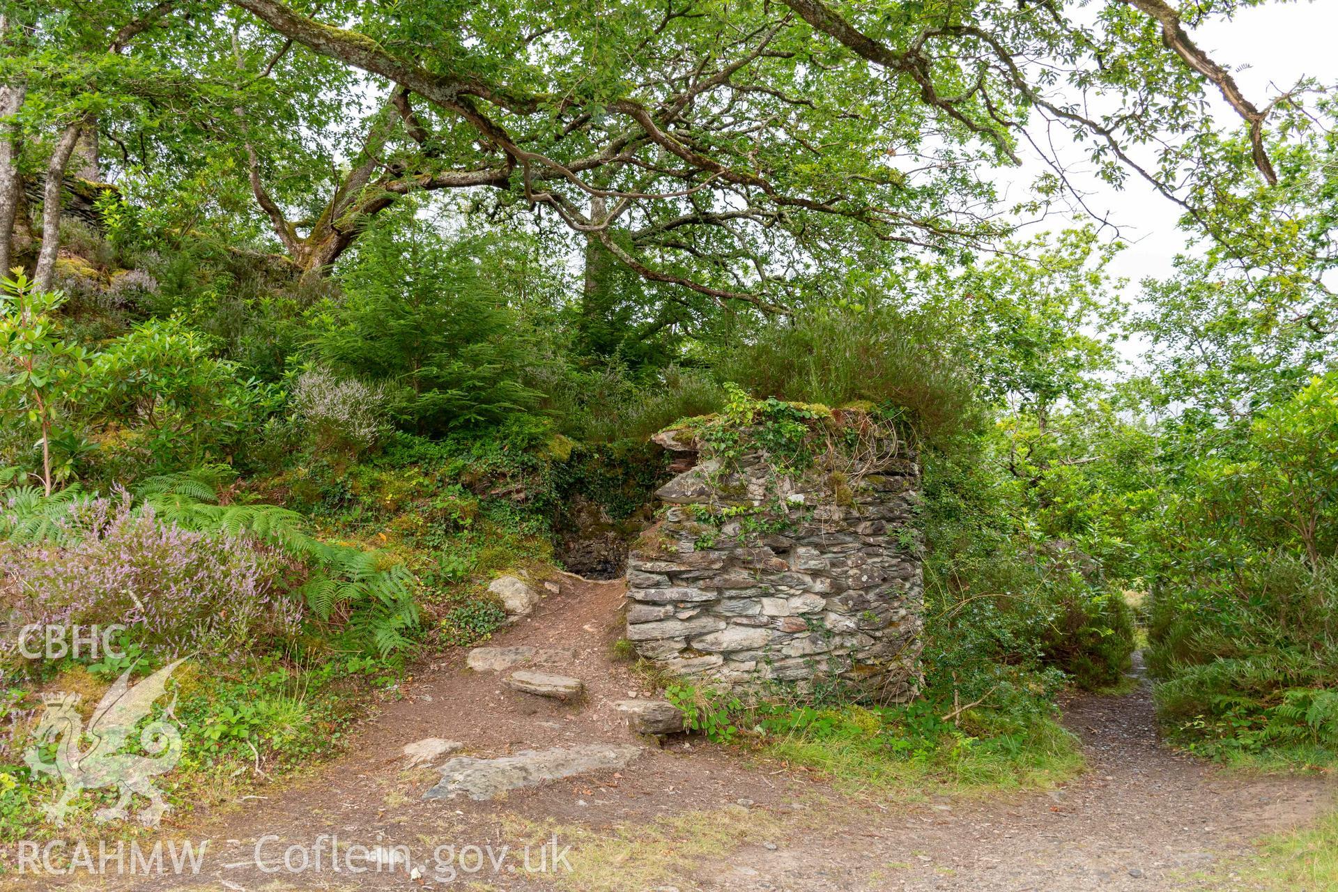 Lime Kiln, Coed y Garth. South side and curving north face.