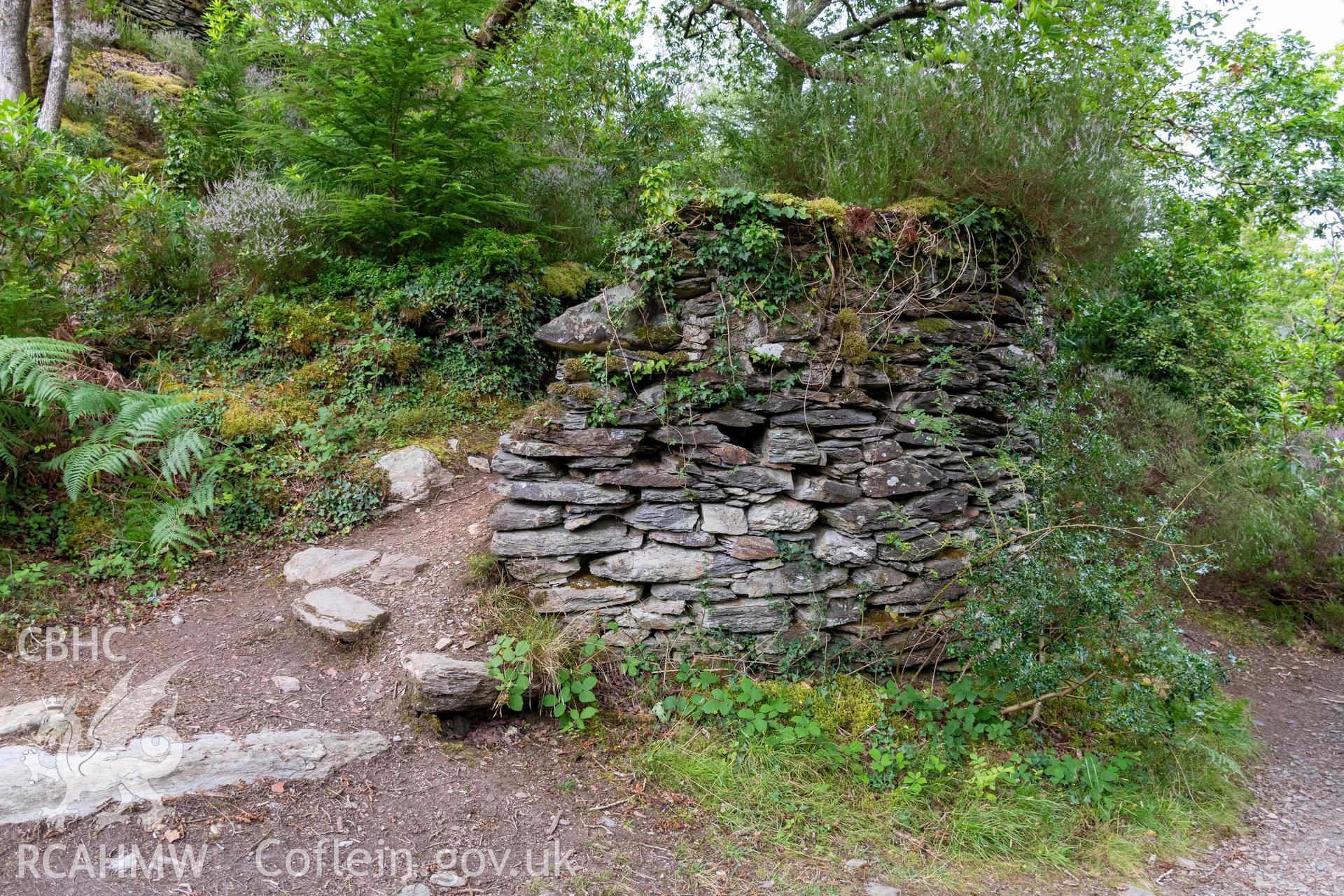 Lime Kiln, Coed y Garth. Curving east face.